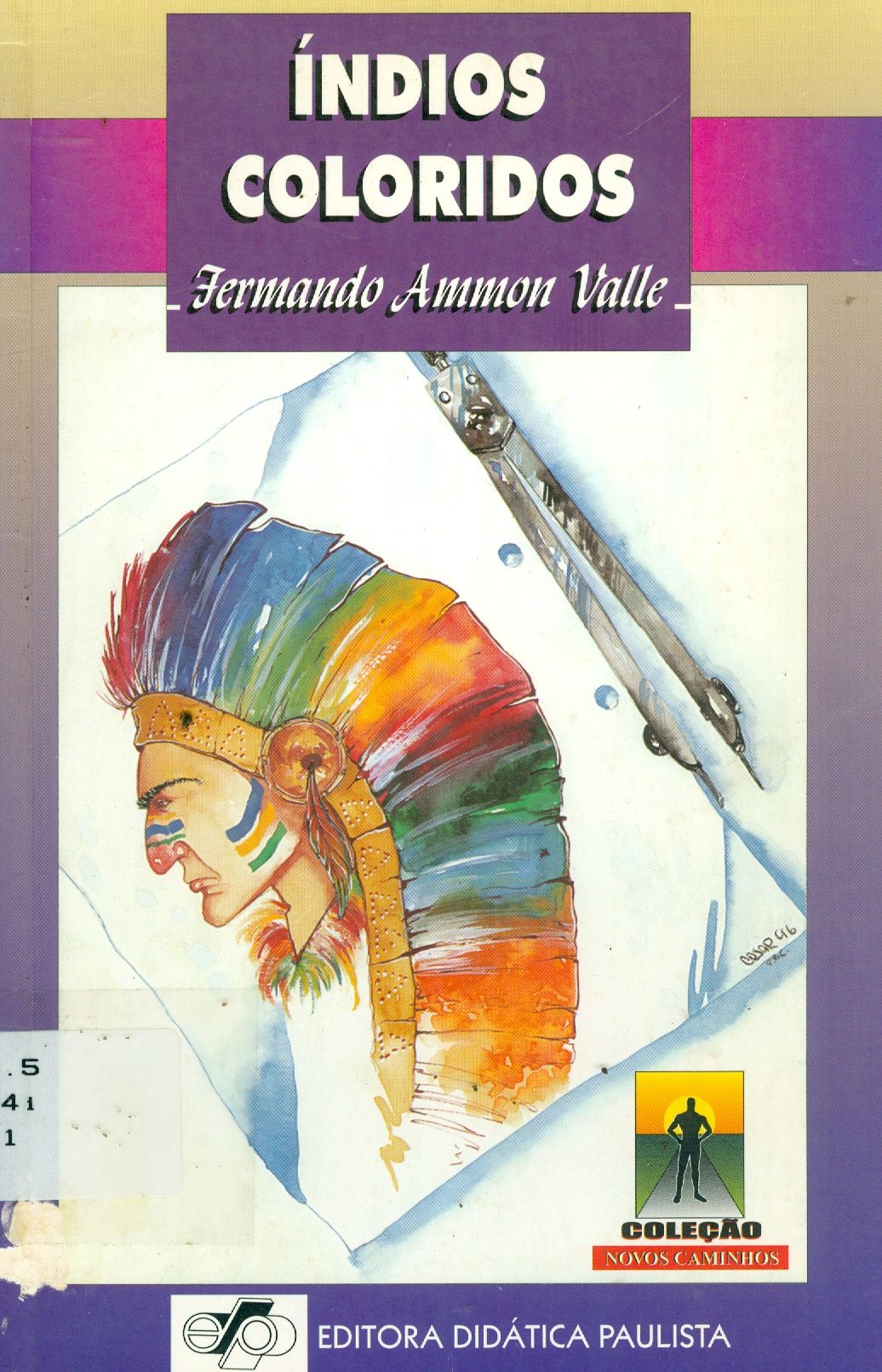 ÍNDIOS COLORIDOS