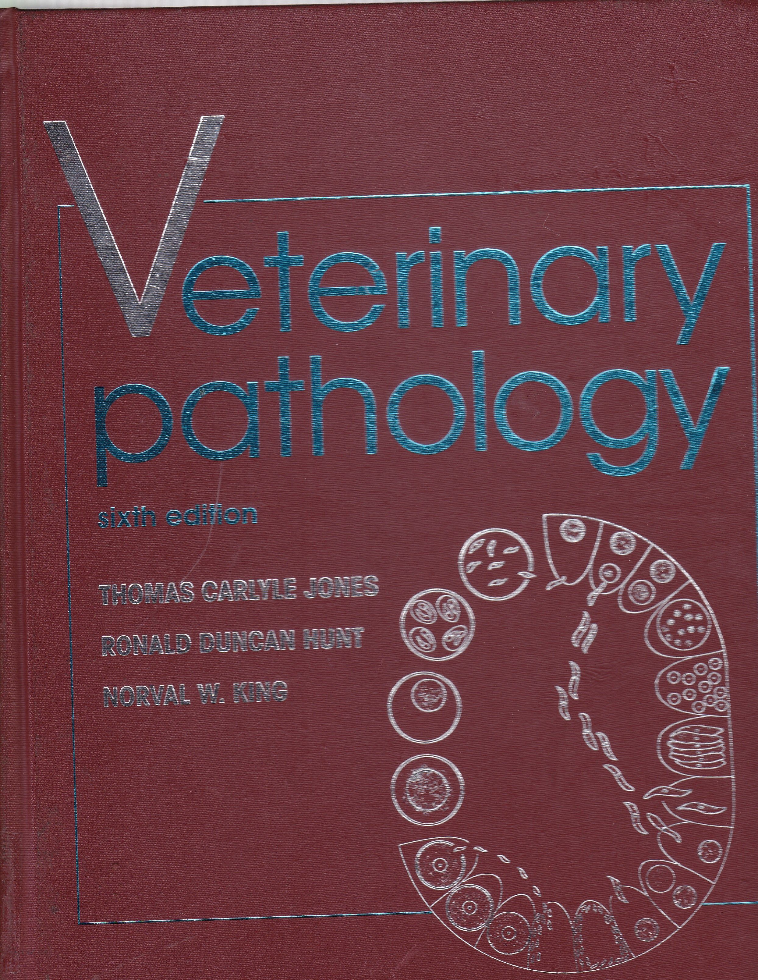 VETERINARY PATHOLOGY 
