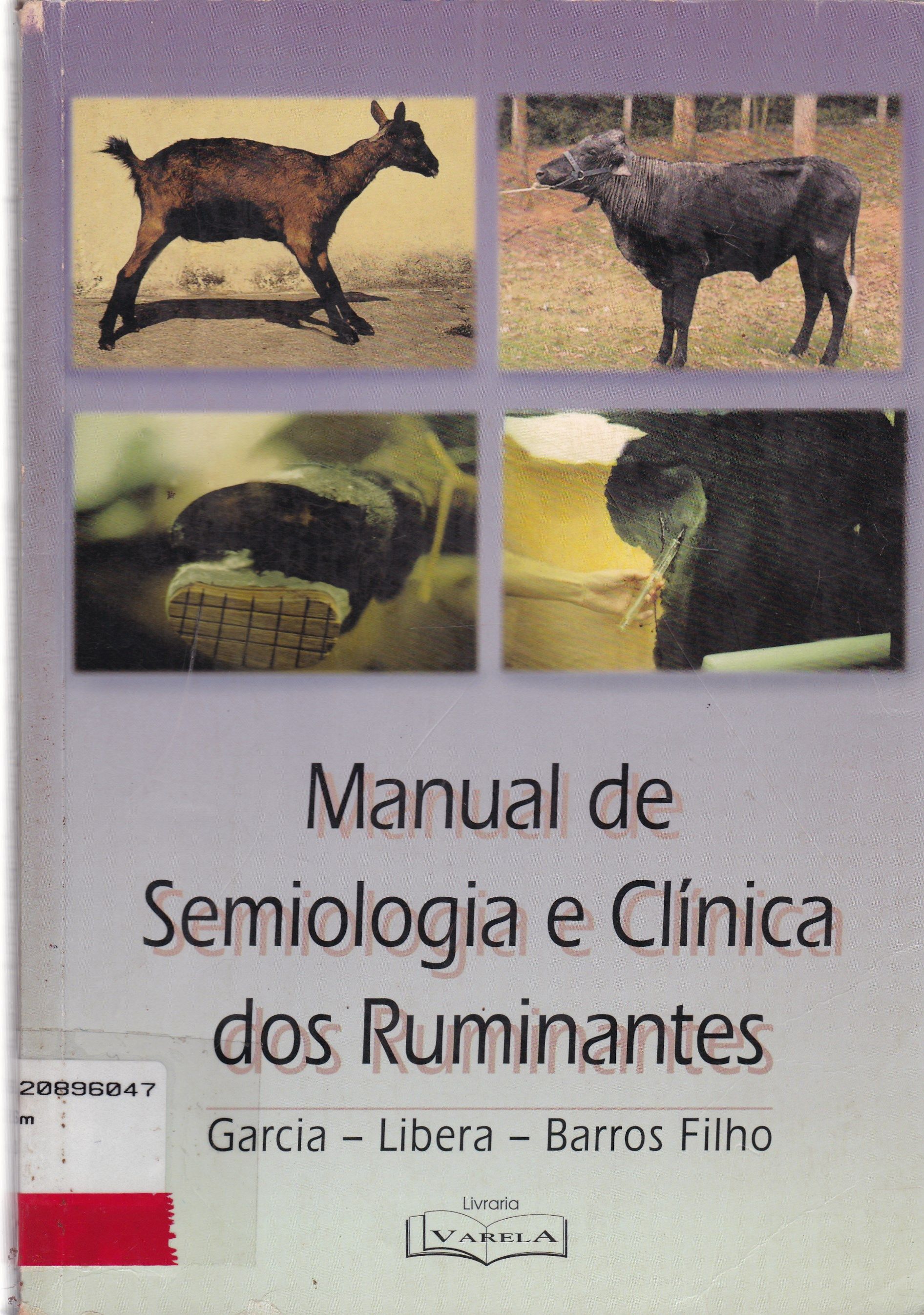 MANUAL DE SEMIOLOGIA E CLÍNICA DOS RUMINANTES