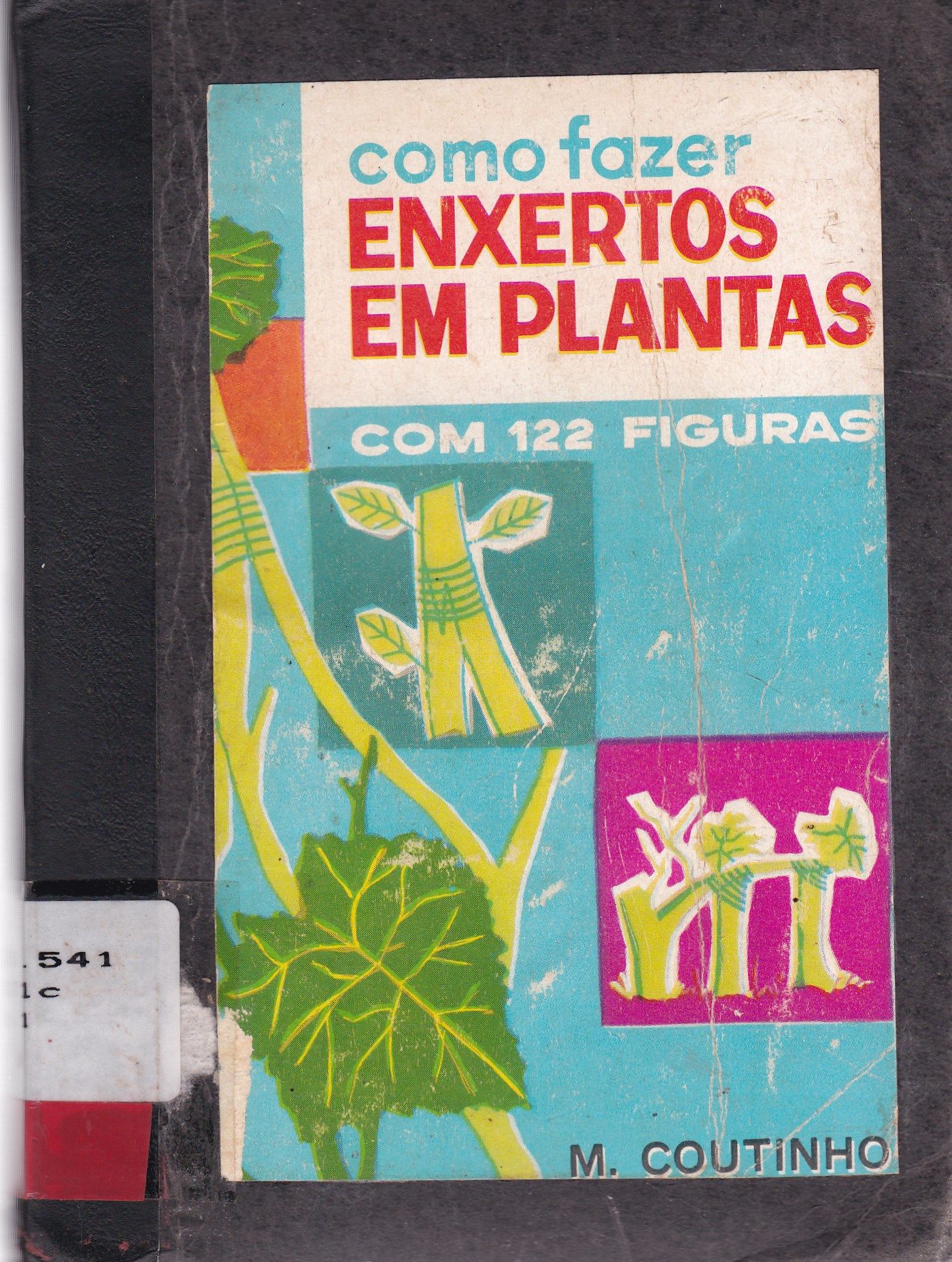 COMO FAZER ENXERTOS EM PLANTAS