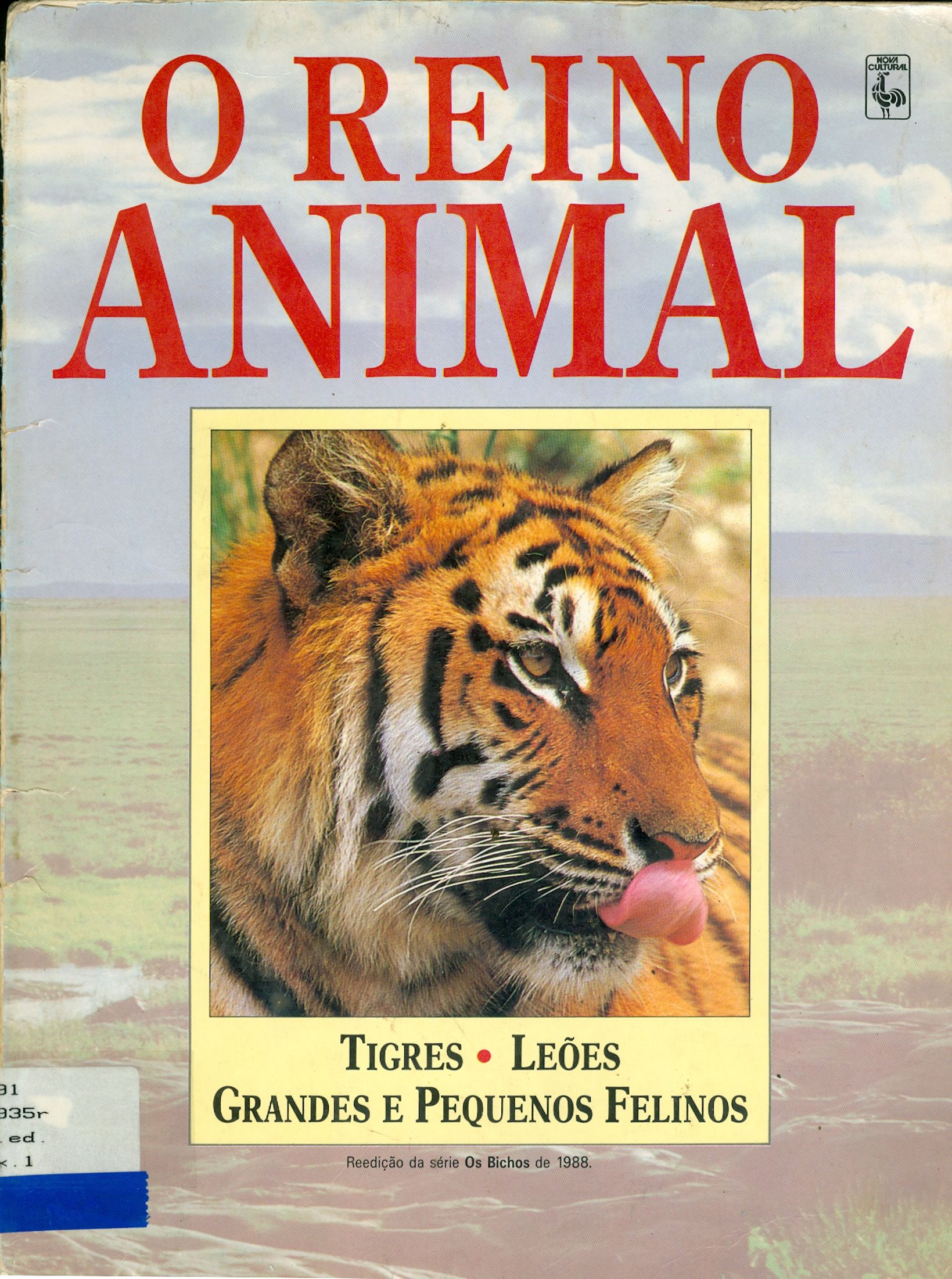 O REINO ANIMAL: TIGRES, LEÕES, GRANDES E PEQUENOS FELINOS 