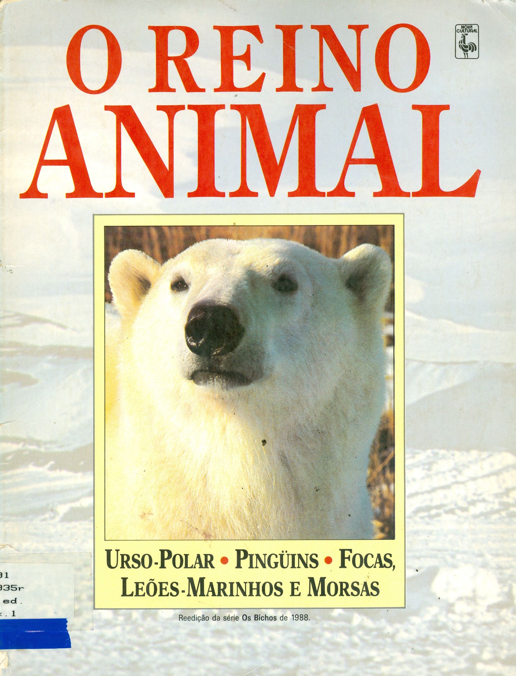 O REINO ANIMAL: URSOS-POLAR, PINGÜINS, FOCAS, LEÕES-MARINHOS, MORSAS 
