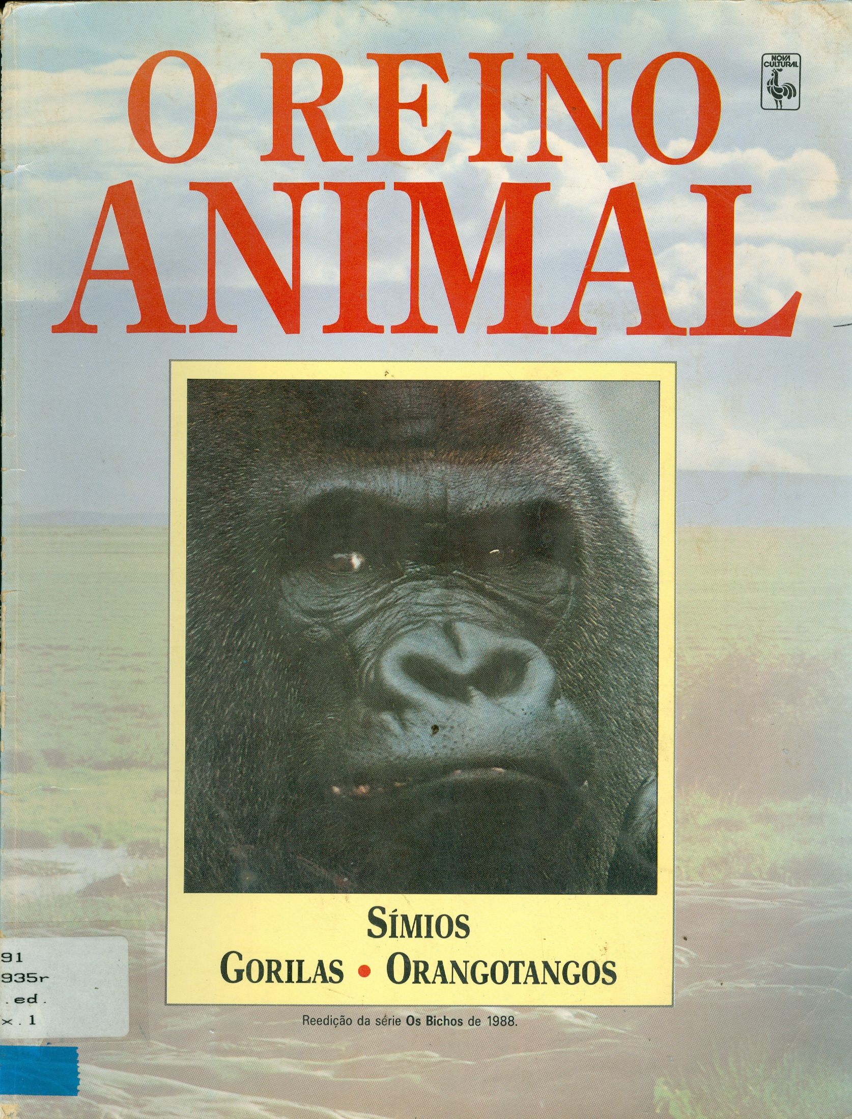 O REINO ANIMAL: SIMIOS, GORILAS, ORANGOTANGOS
