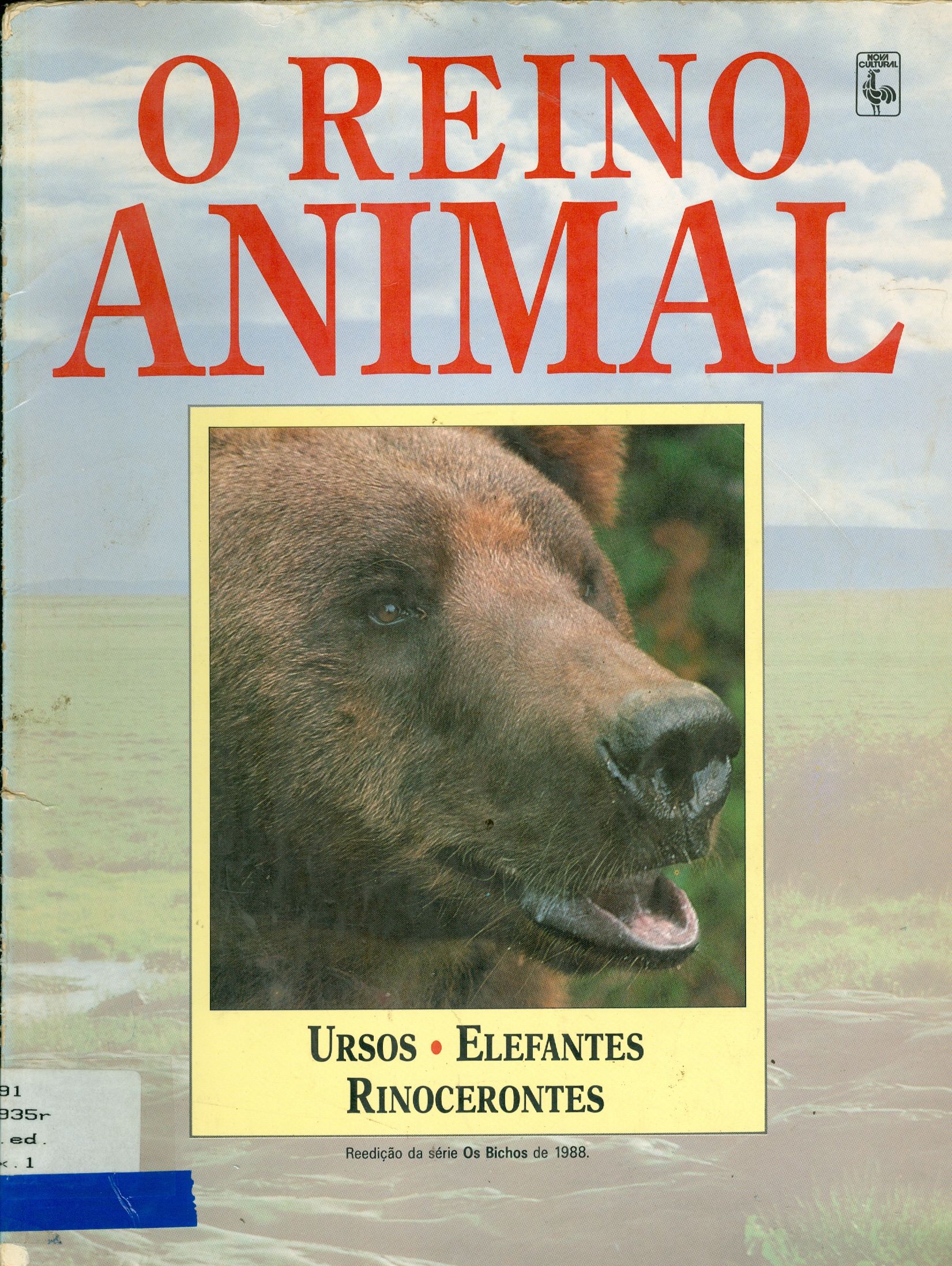 O REINO ANIMAL: URSOS, ELEFANTES, RINOCERONTES 