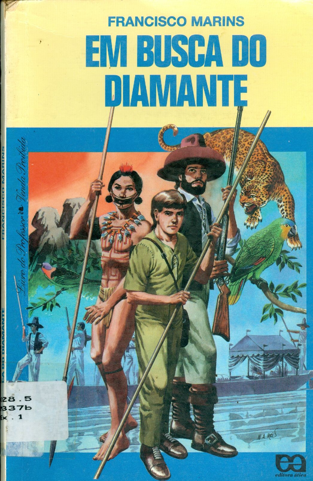 EM BUSCA DO DIAMANTE