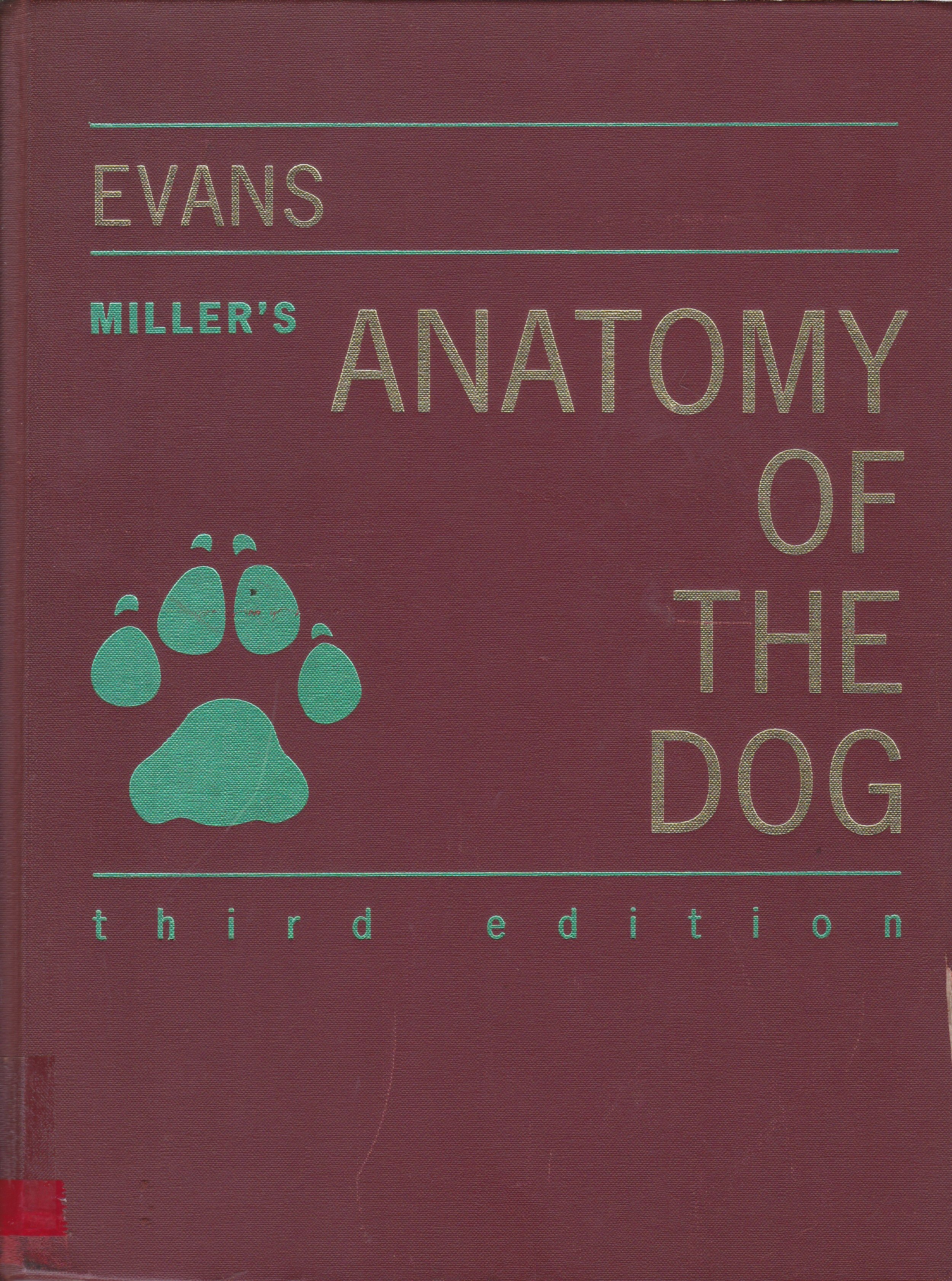 MILLER`S ANATOMY OF THE DOG 