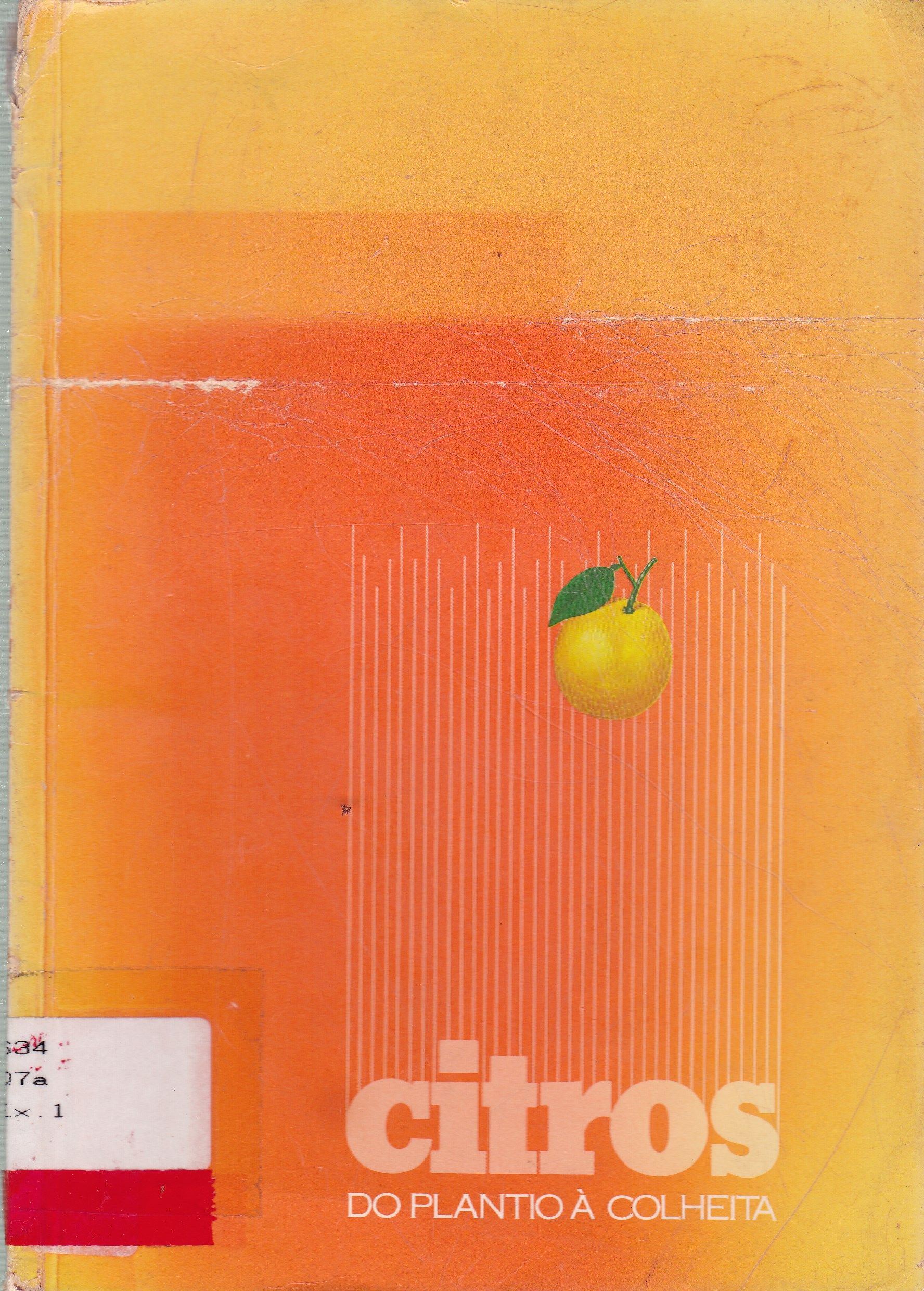 CITROS: DO PLANTIO A COLHEITA