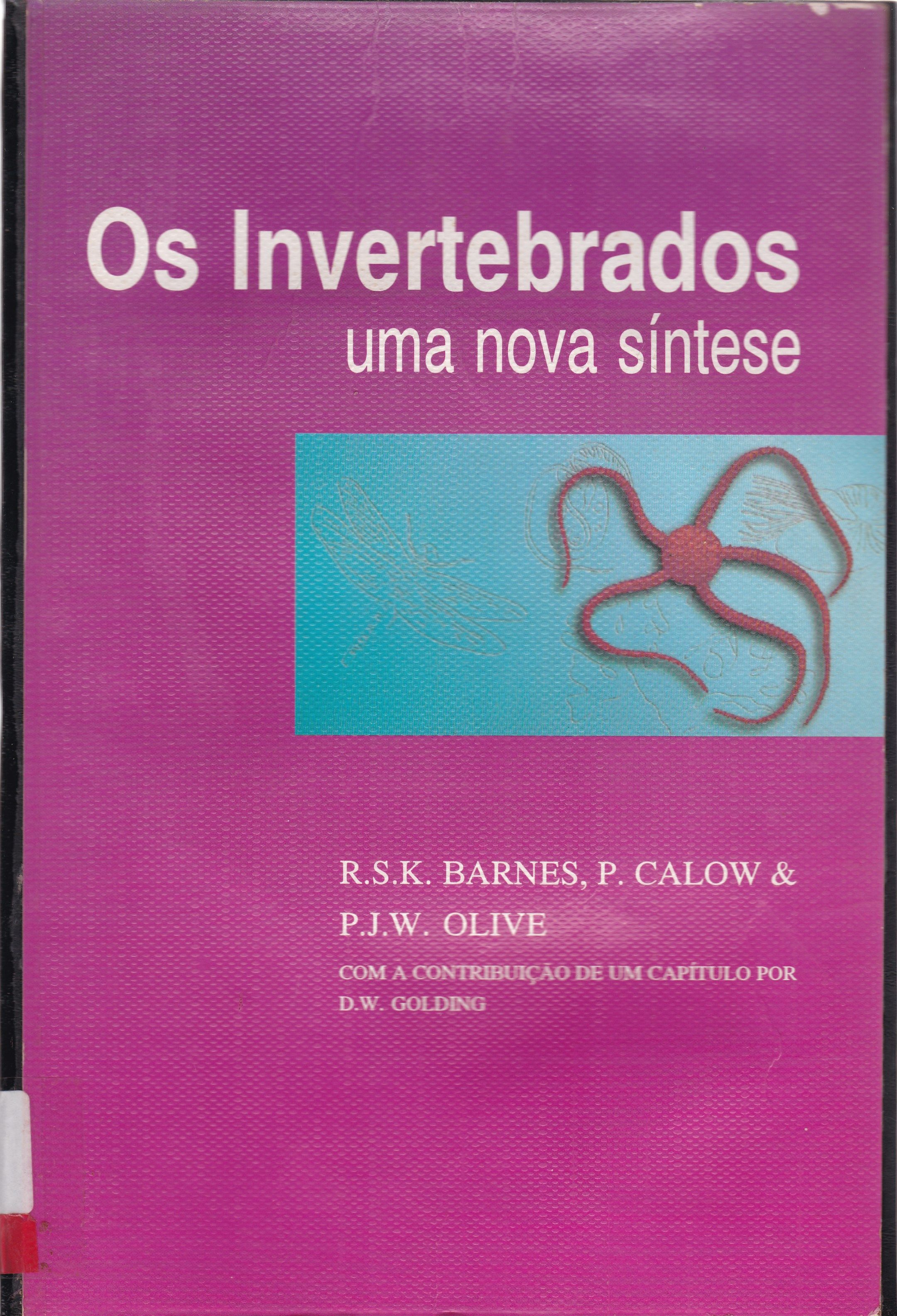 OS INVERTEBRADOS: UMA NOVA SÍNTESE