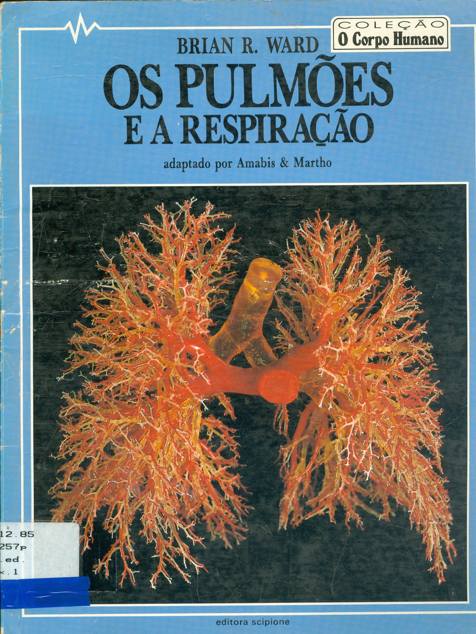 OS PULMÕES E A RESPIRAÇÃO 