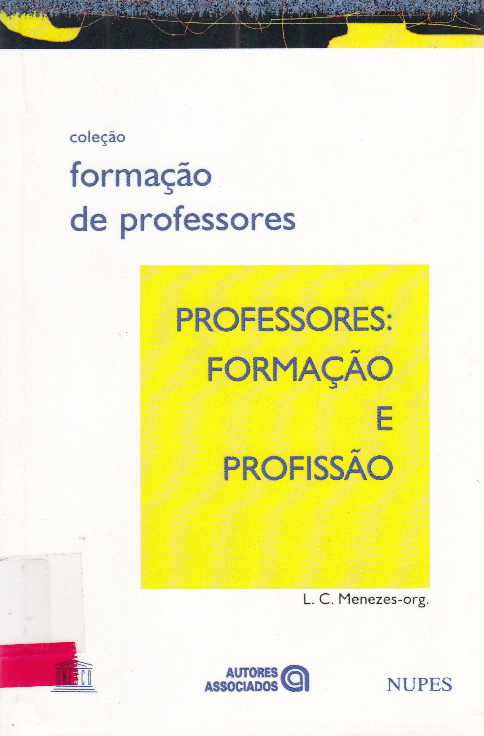 PROFESSORES: FORMAÇÃO E PROFISSÃO