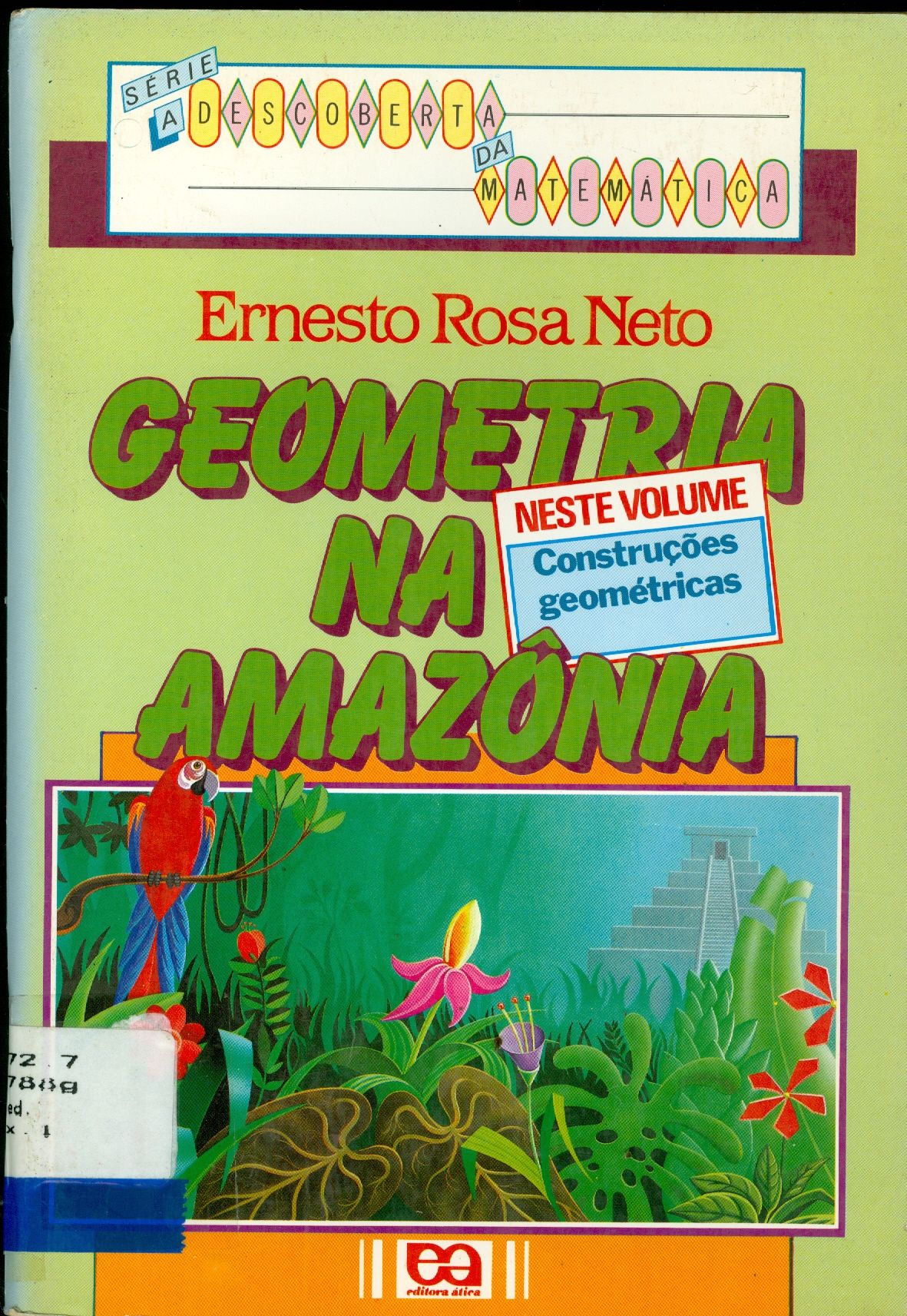 GEOMETRIA NA AMAZÔNIA