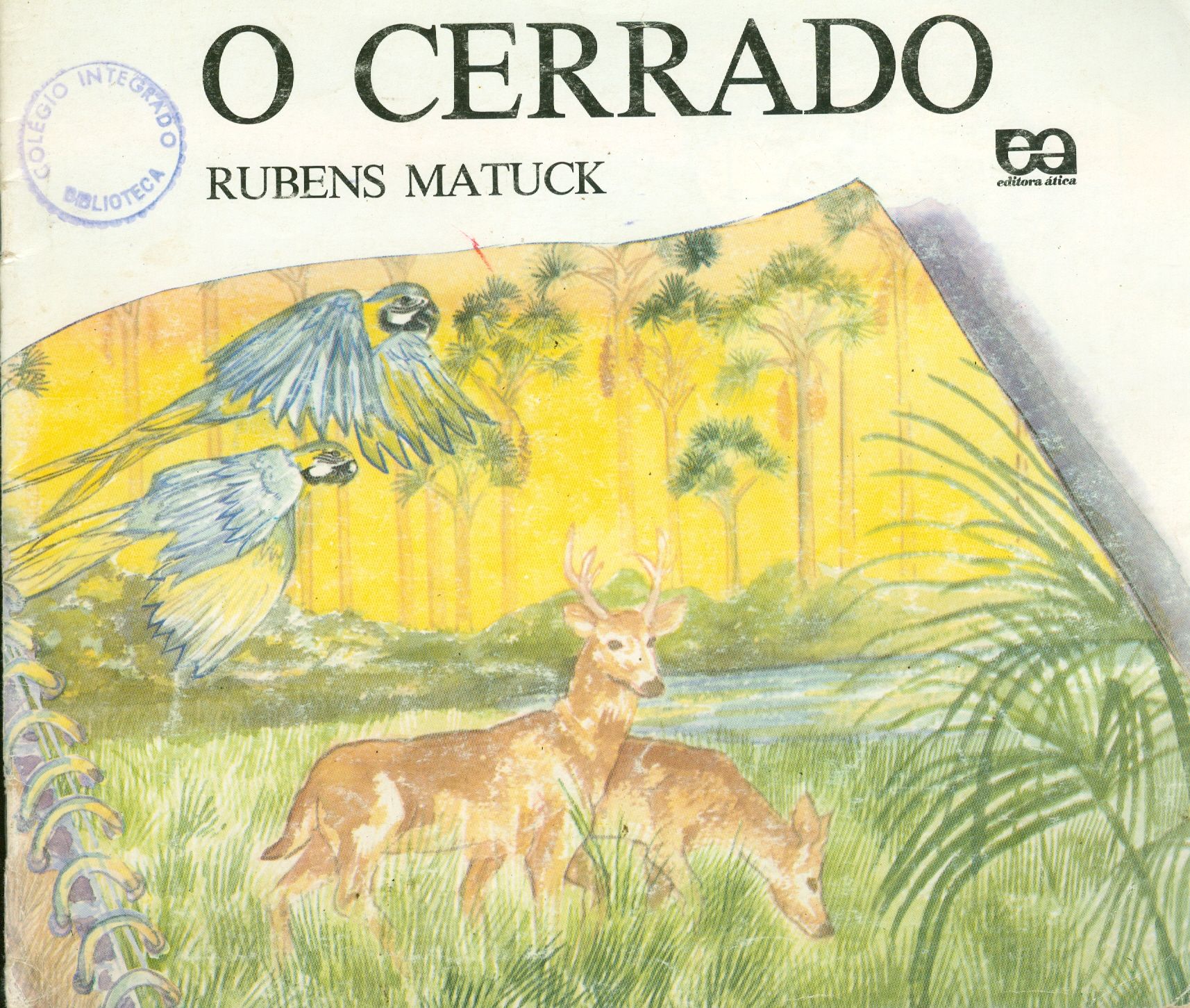 O CERRADO 