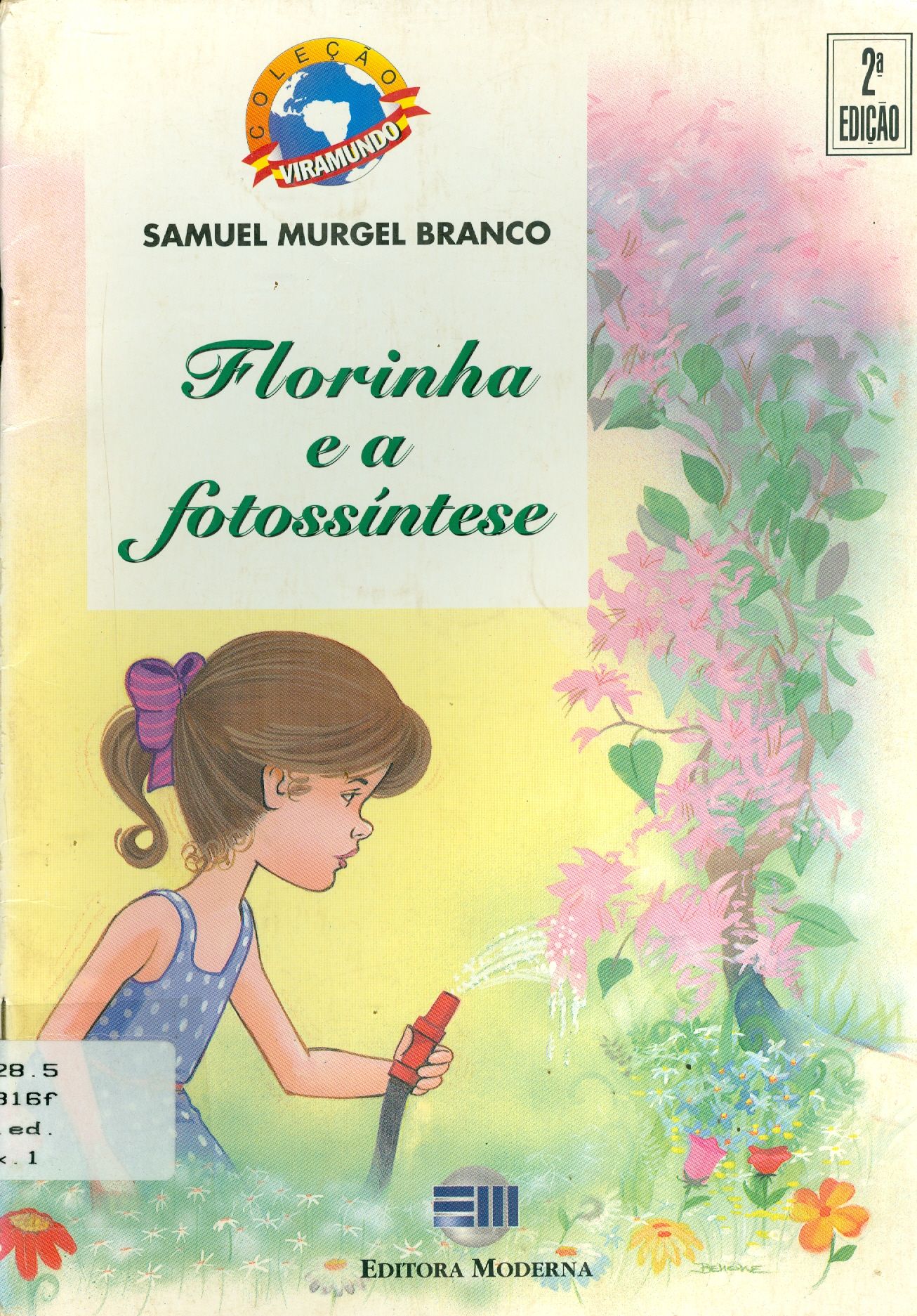 FLORINHA E A FOTOSSÍNTESE 