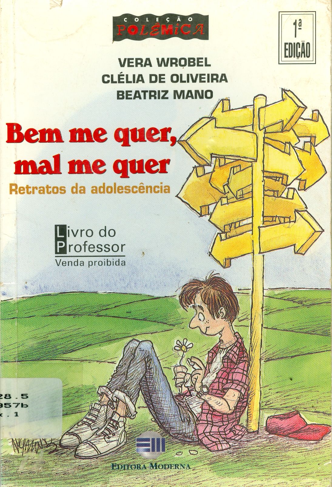 BEM ME QUER, MAL ME QUER: RETRATOS DA ADOLESCÊNCIA 