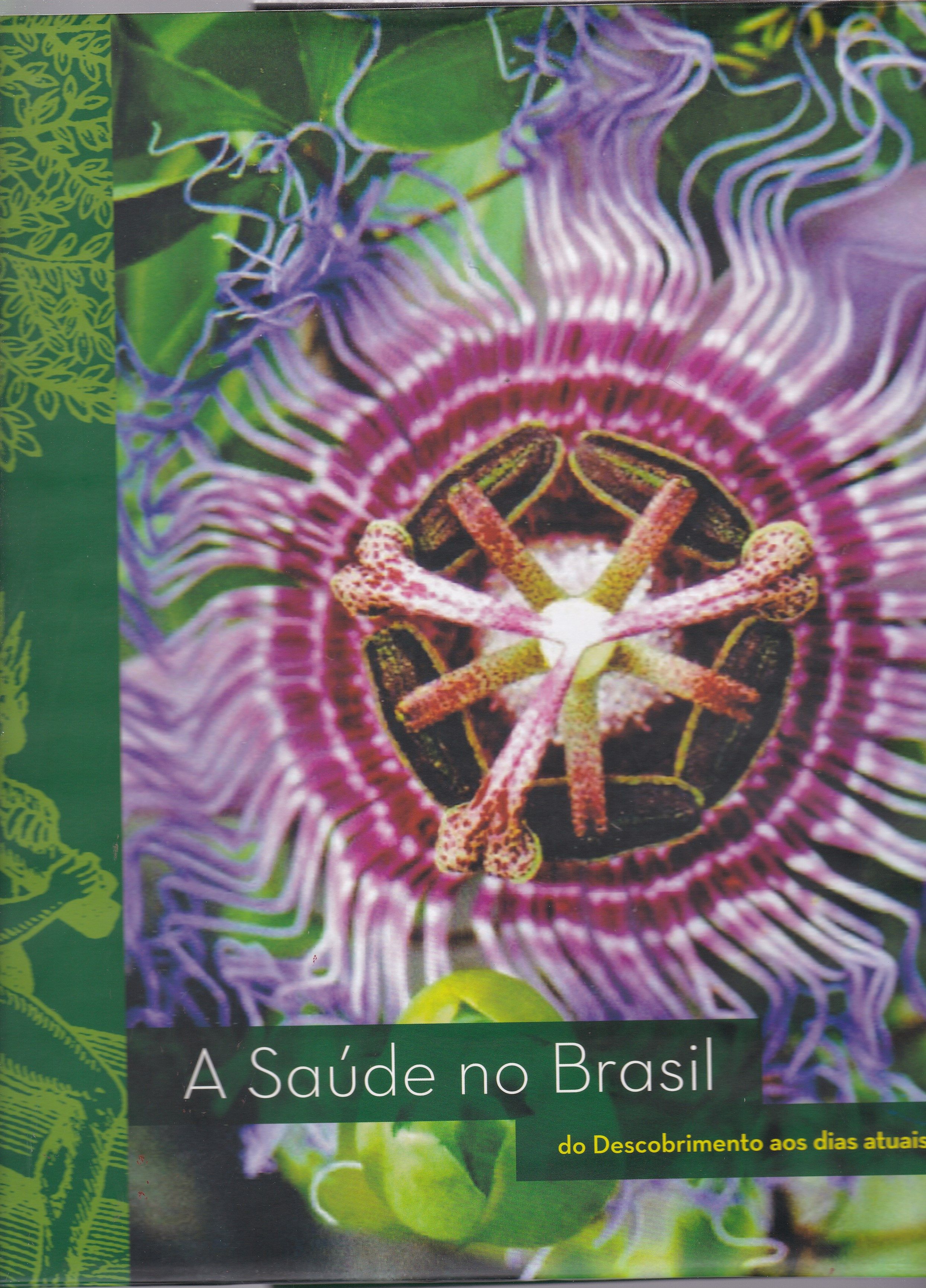 SAÚDE NO BRASIL, A : DO DESCOBRIMENTO AOS DIAS ATUAIS