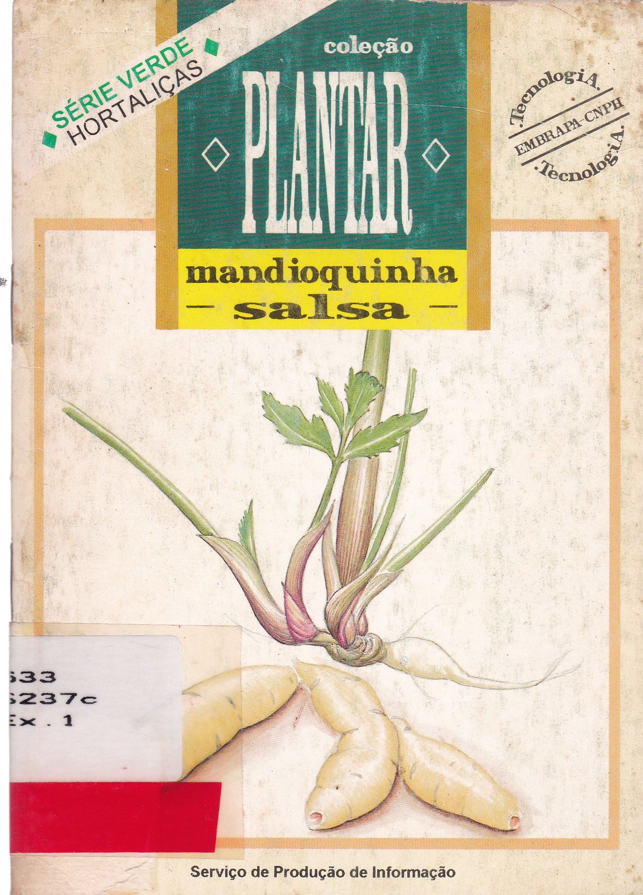 A CULTURA DA MANDIOQUINHA-SALSA