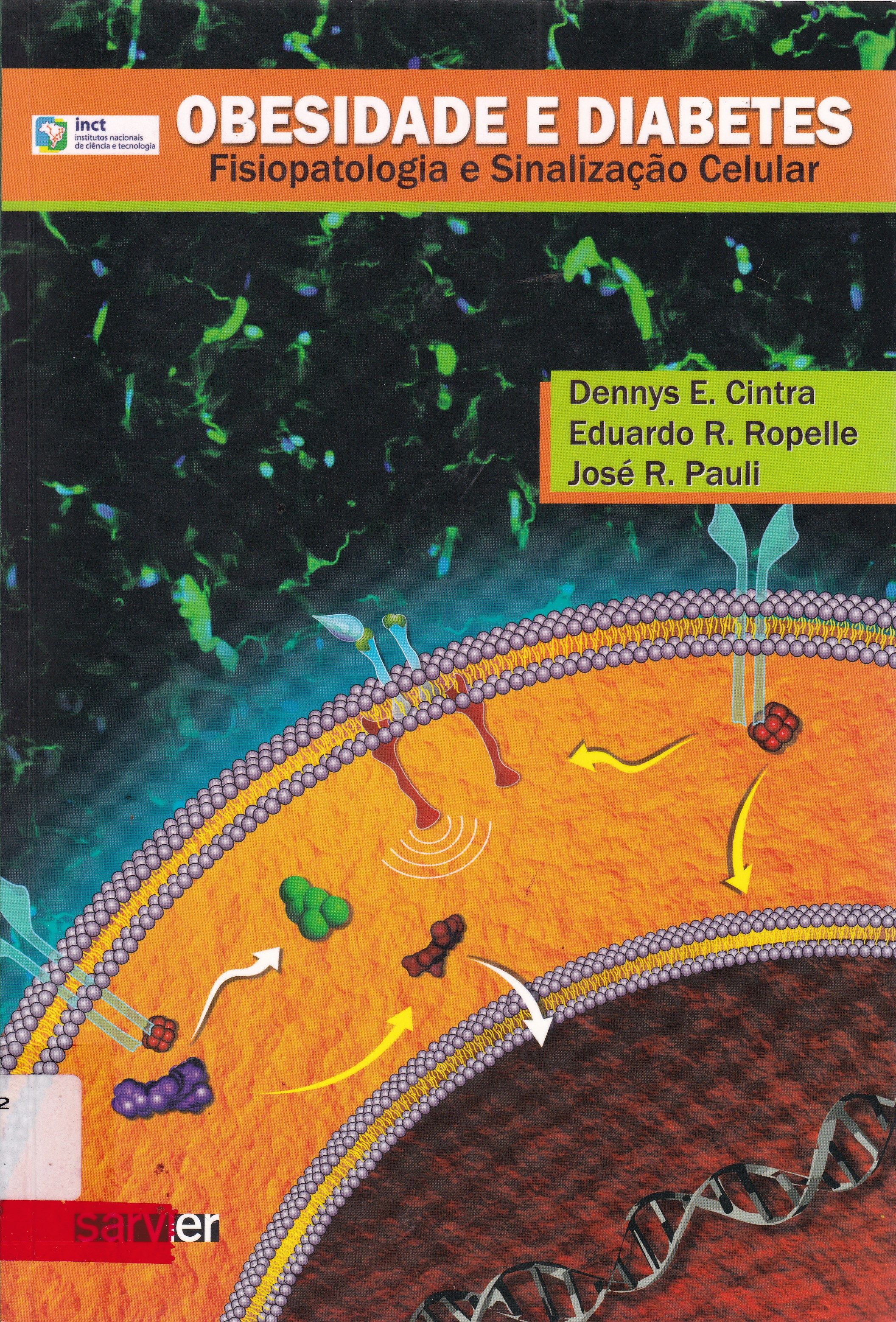 OBESIDADE E DIABETES: FISIOPATOLOGIA E SINALIZAÇÃO CELULAR