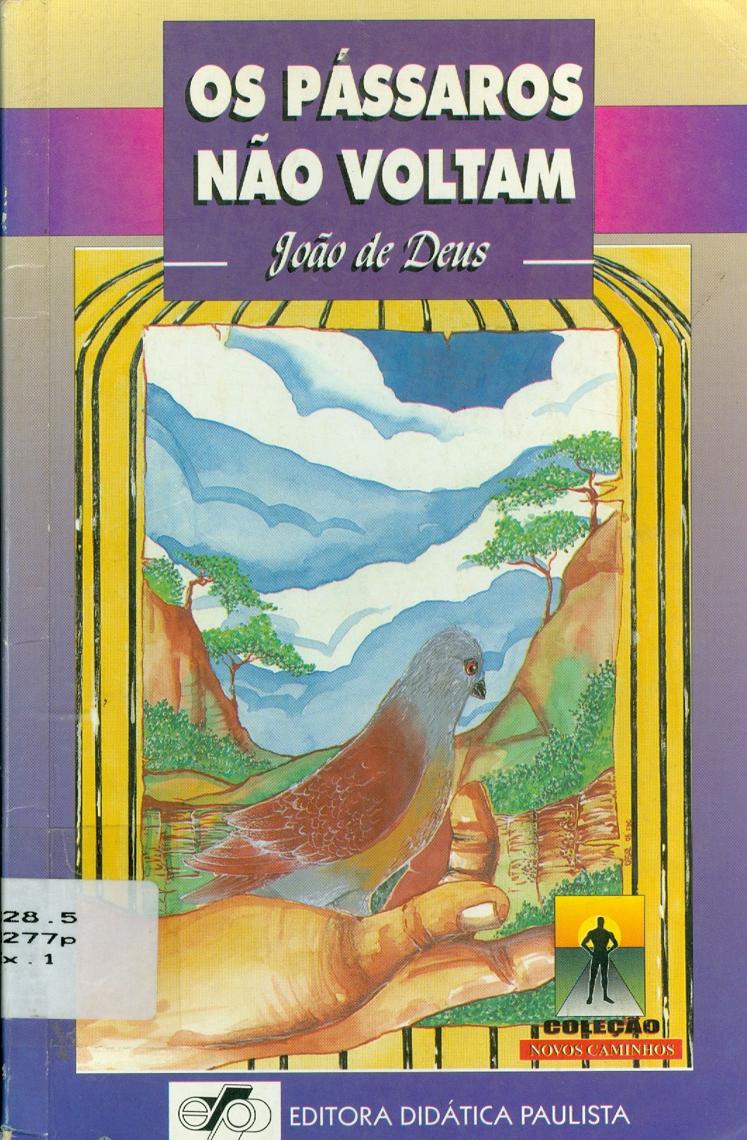 OS PÁSSAROS NÃO VOLTAM