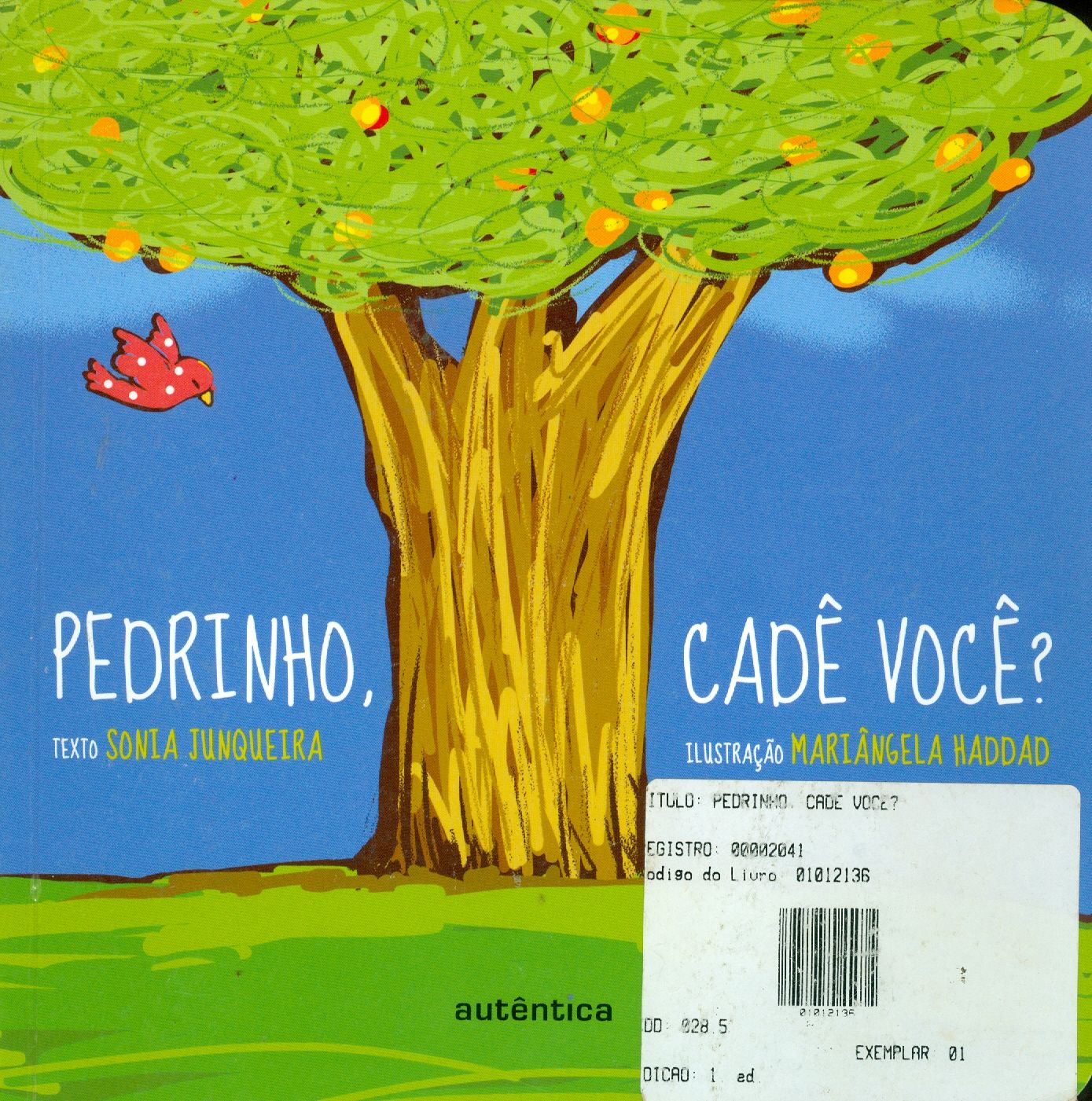 PEDRINHO, CADÊ VOCÊ?
