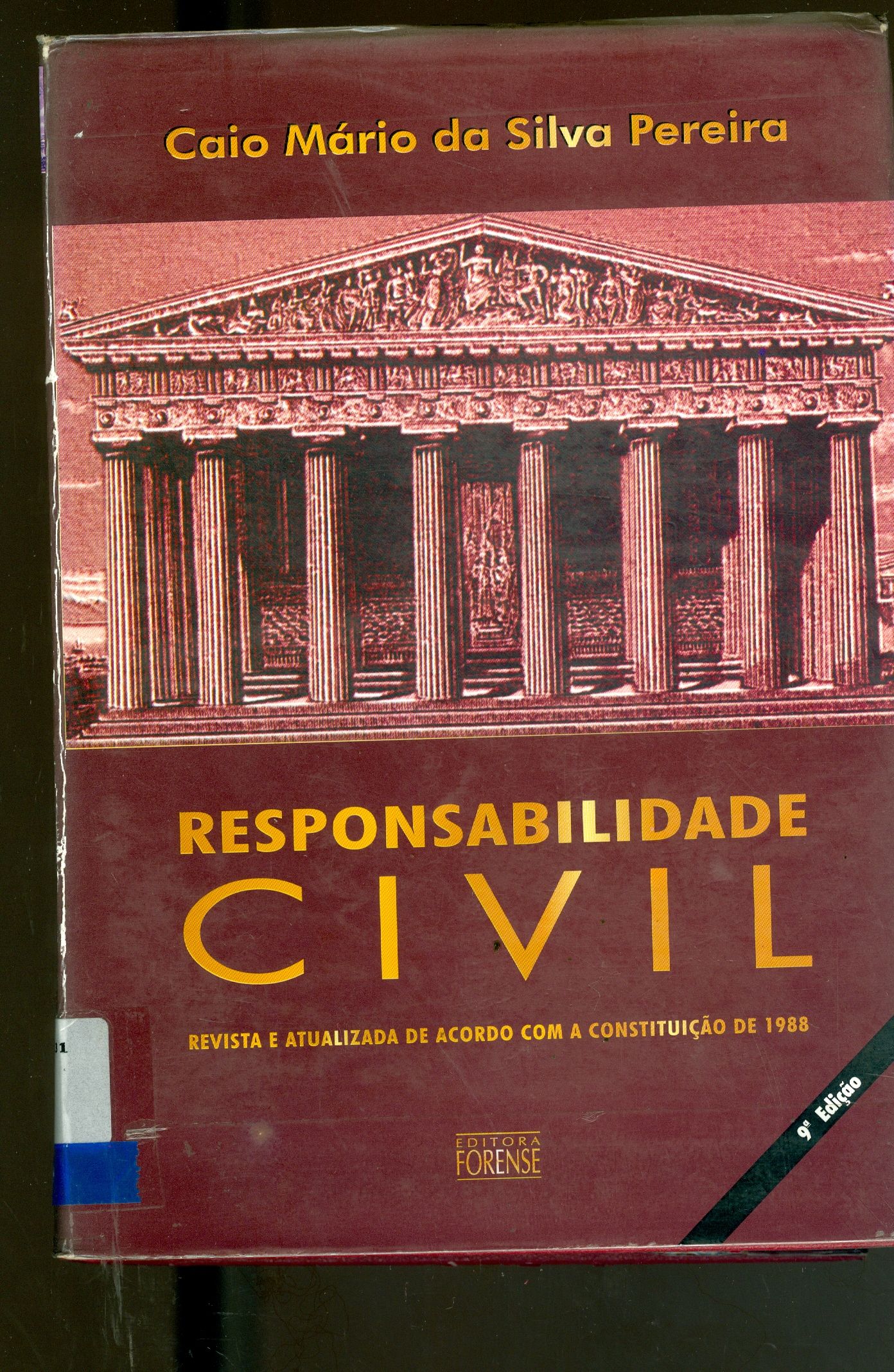 RESPONSABILIDADE CIVIL 
