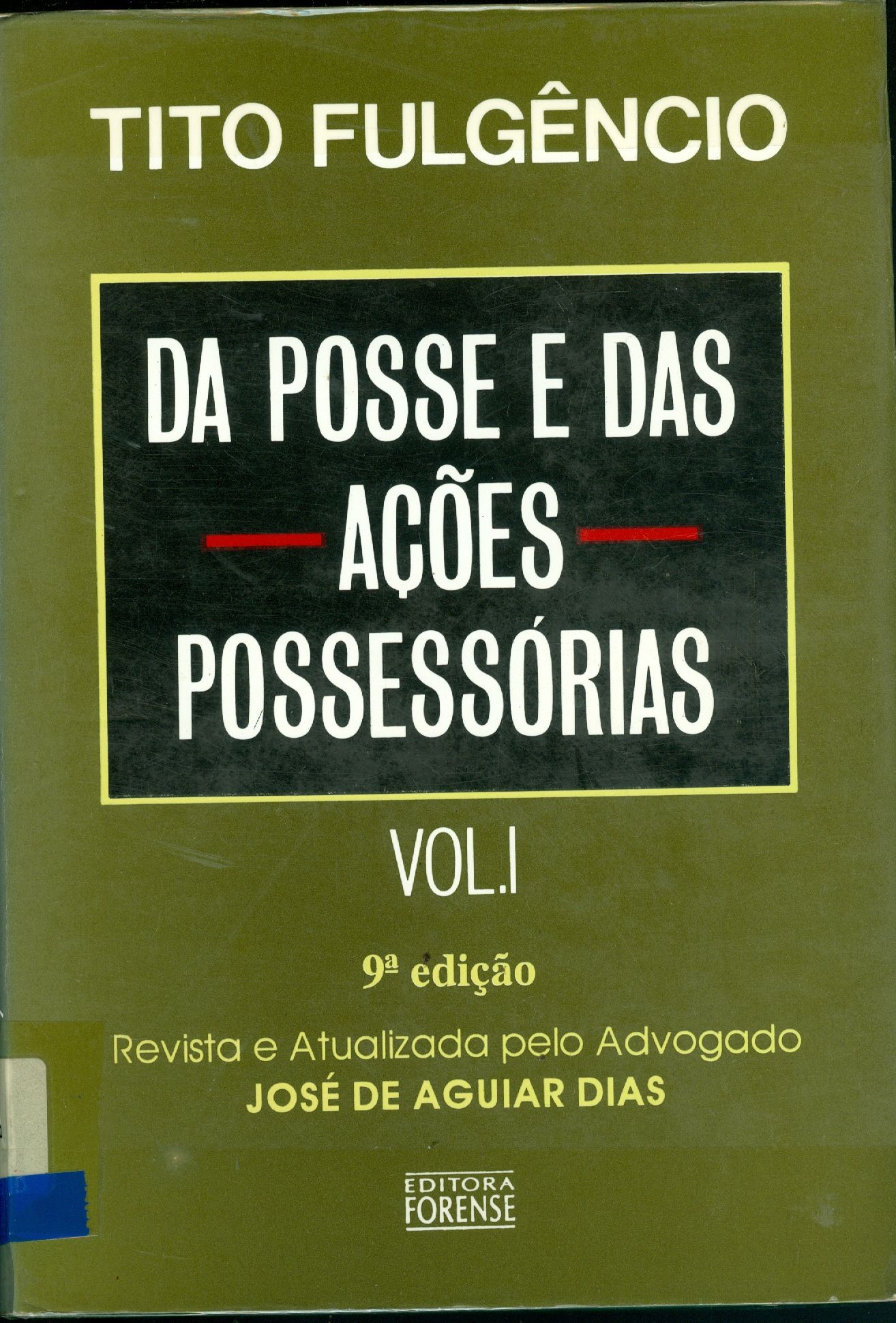 DA POSSE E DAS AÇÕES POSSESSÓRIAS - V. 1