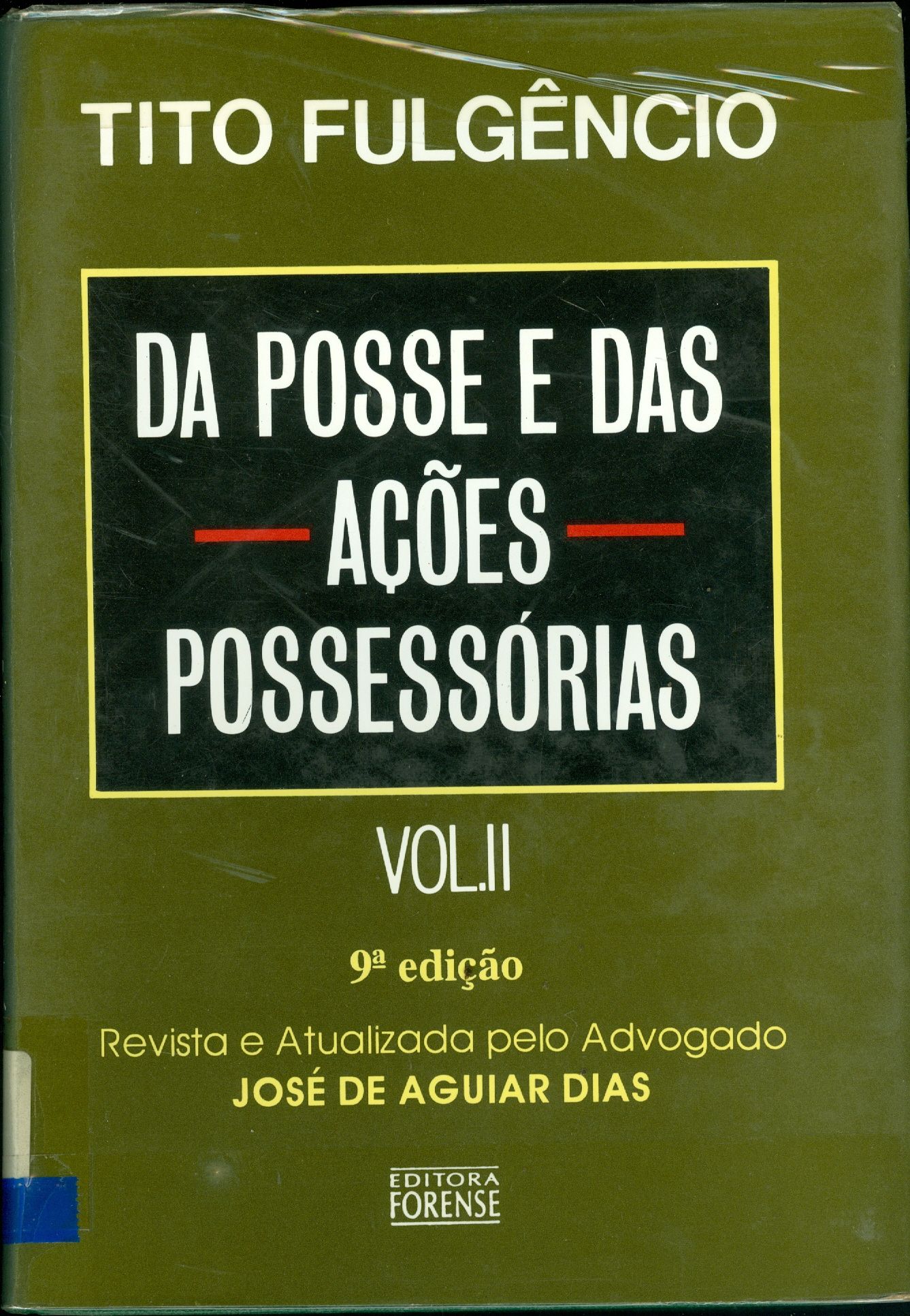 DA POSSE E DAS AÇÕES POSSESSÓRIAS - V. 2