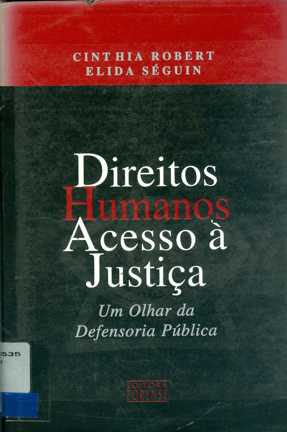 DIREITOS HUMANOS, ACESSO A JUSTIÇA: UM OLHAR DA DEFENSORIA PÚBLICA 