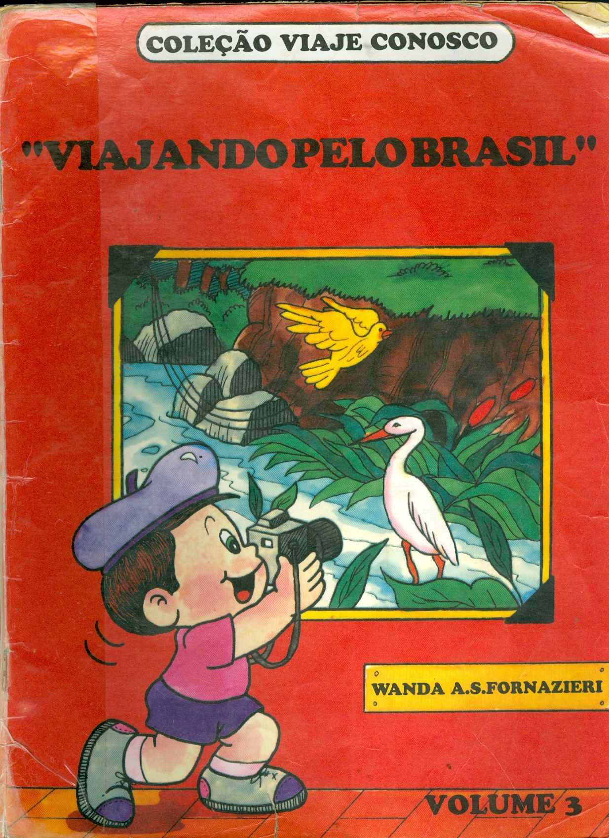 VIAJANDO PELO BRASIL