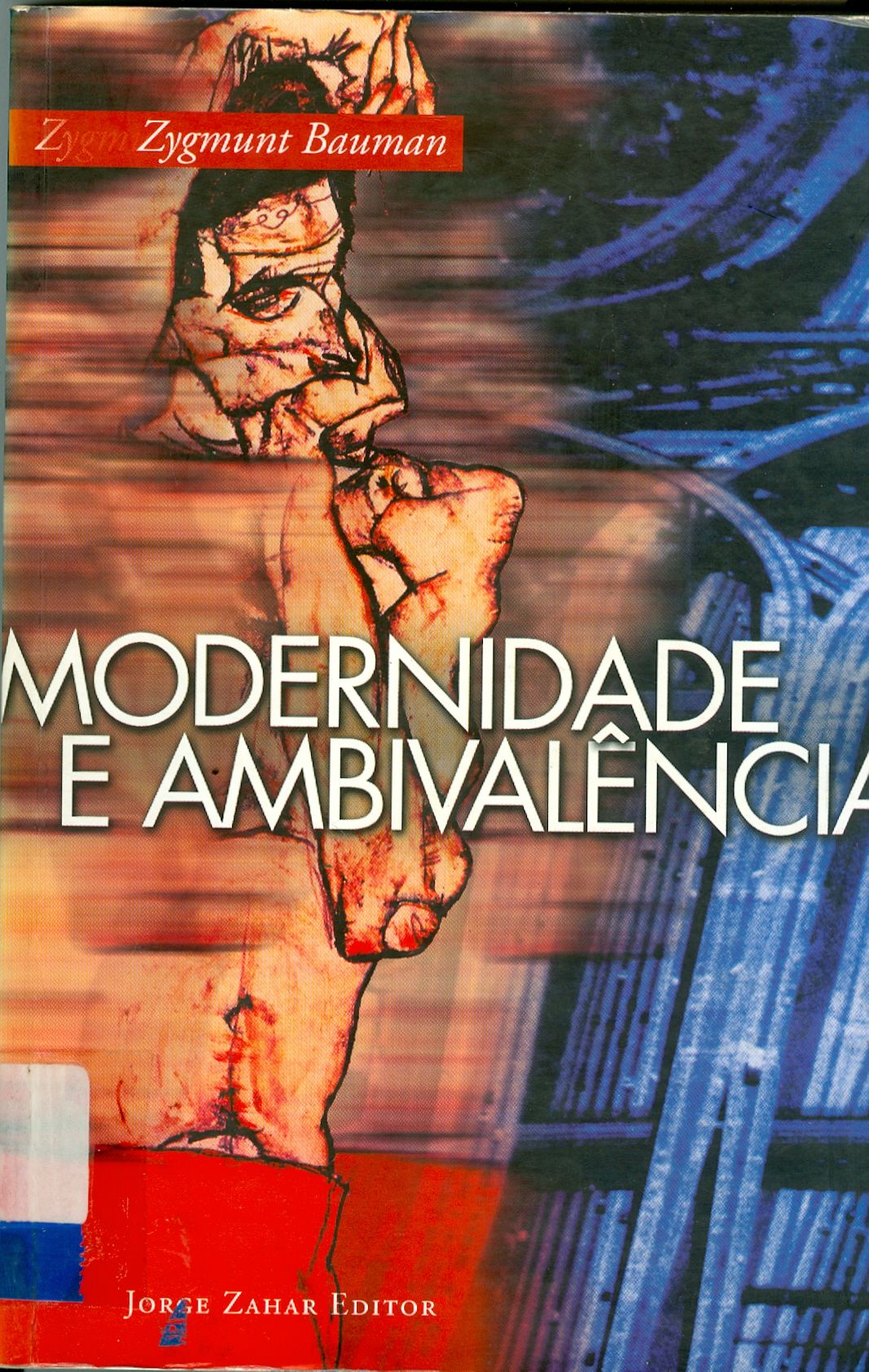 MODERNIDADE E AMBIVALÊNCIA