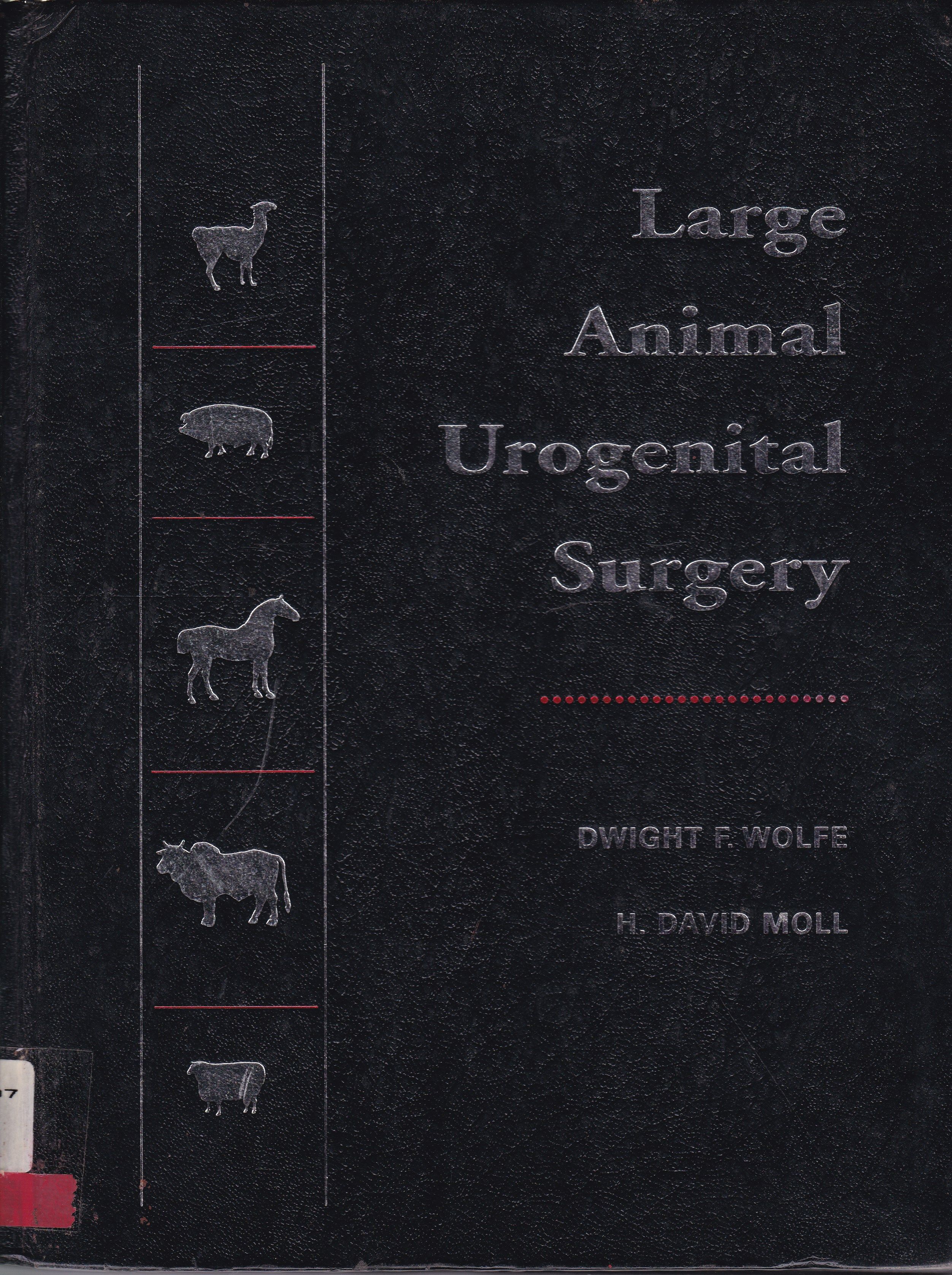 LARGE ANIMAL UROGENITAL SURGERY