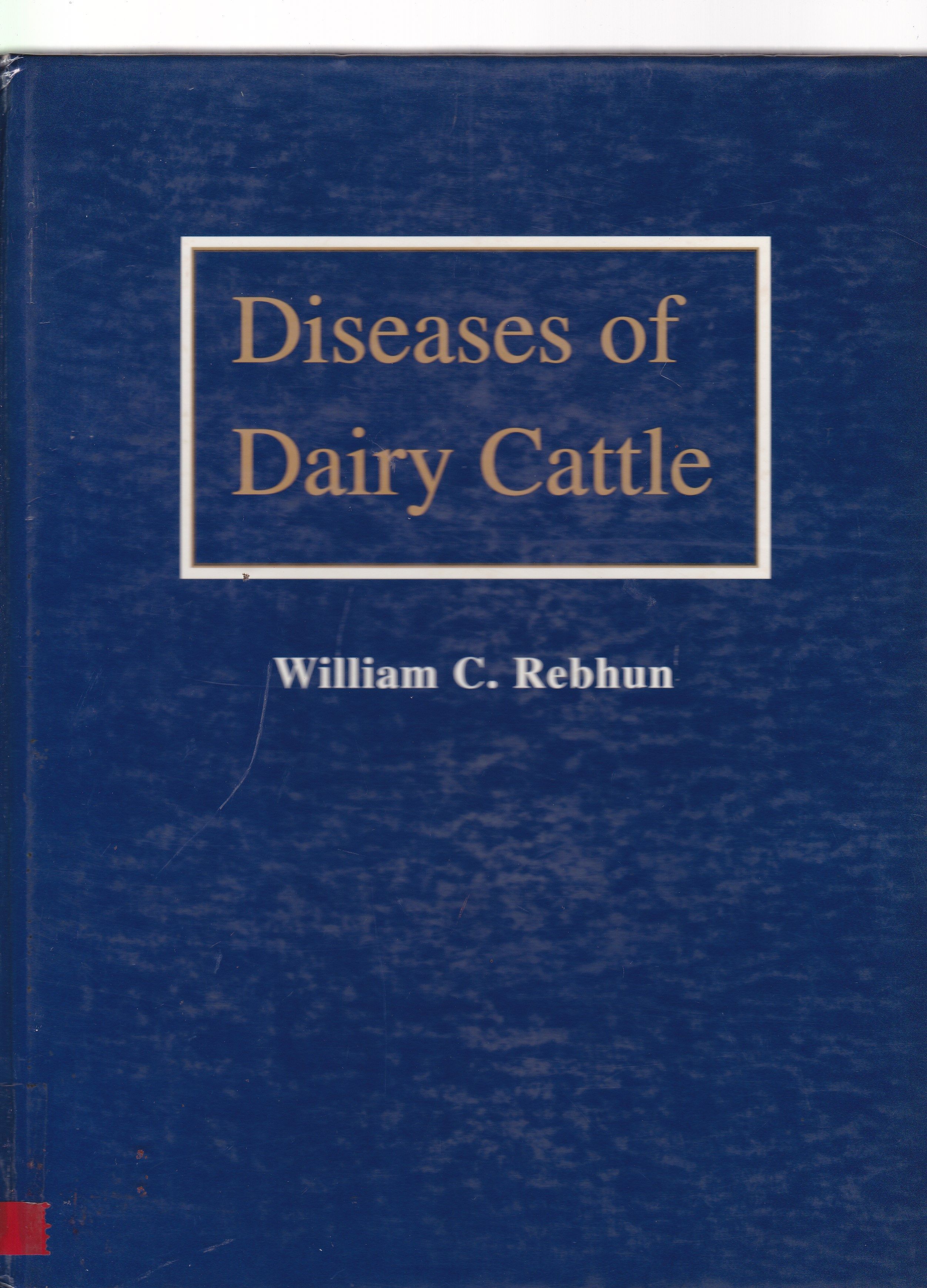 DISEASES OF DAIRY CATTLE