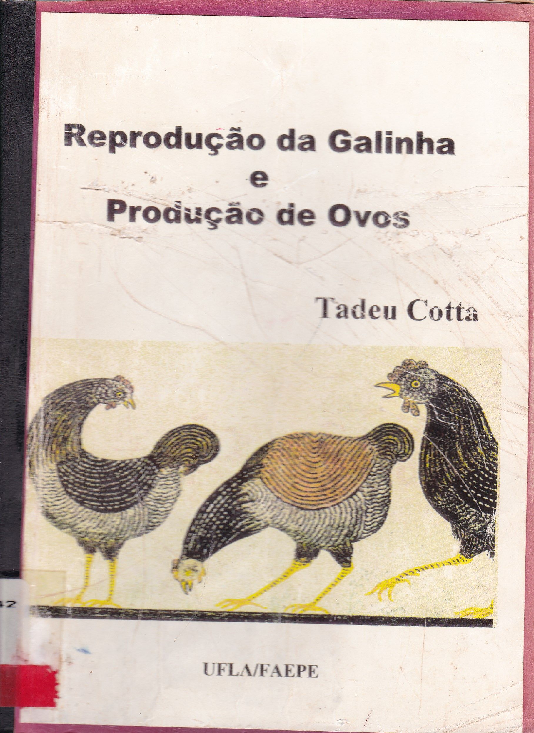 REPRODUÇÃO DA GALINHA E PRODUÇÃO DE OVOS