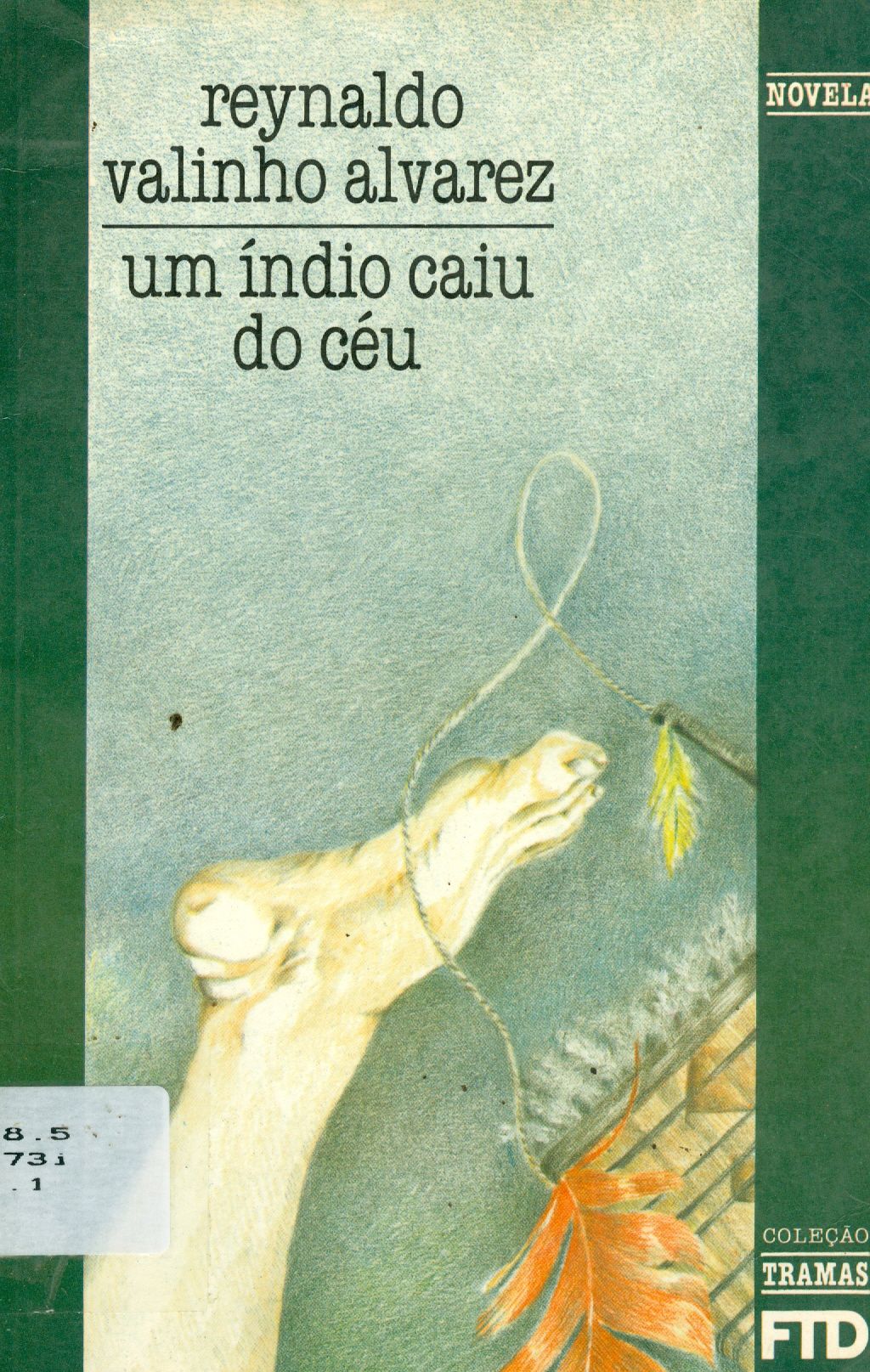 UM ÍNDIO CAIU DO CEU