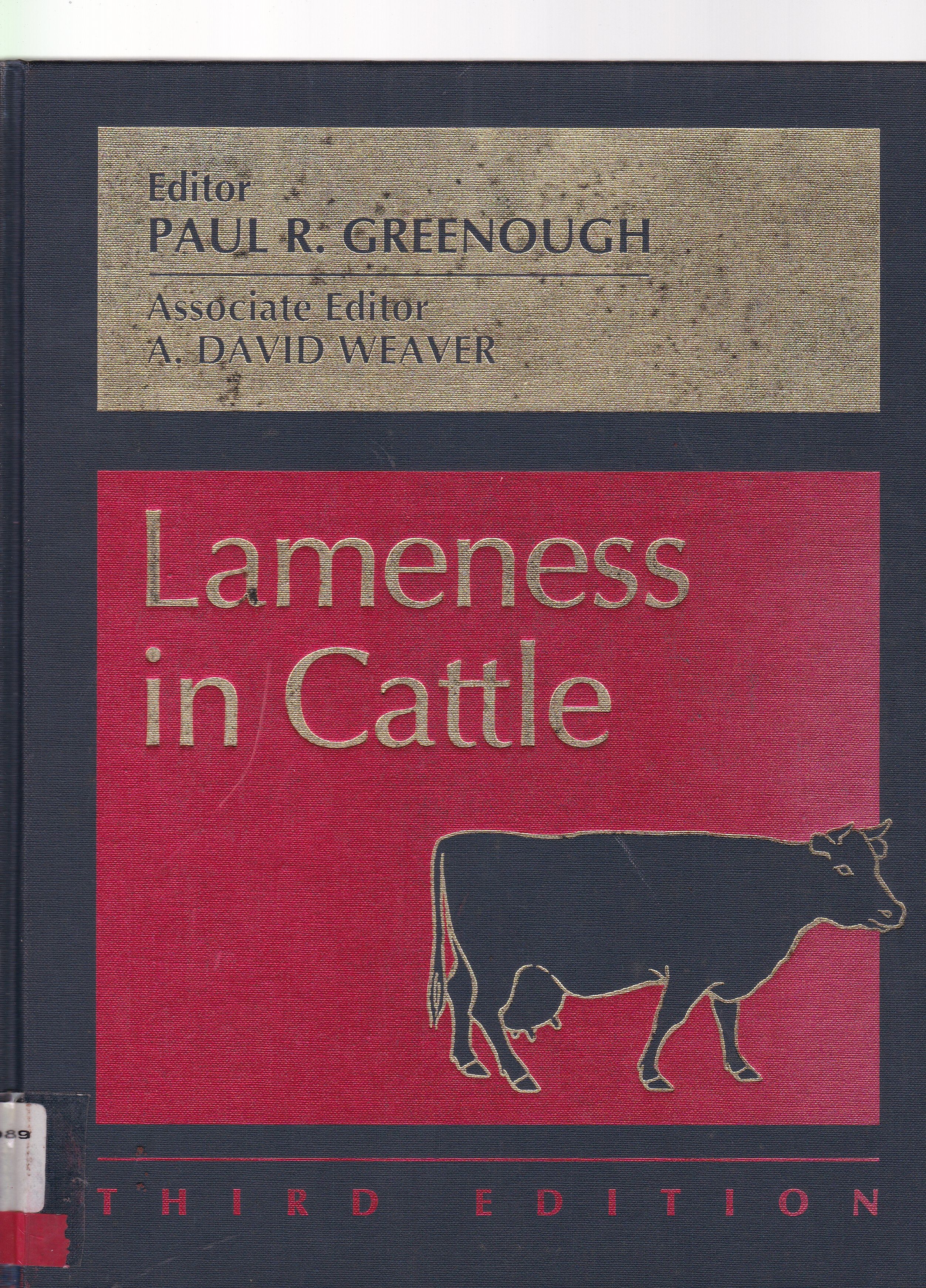LAMENESS IN CATTLE 
