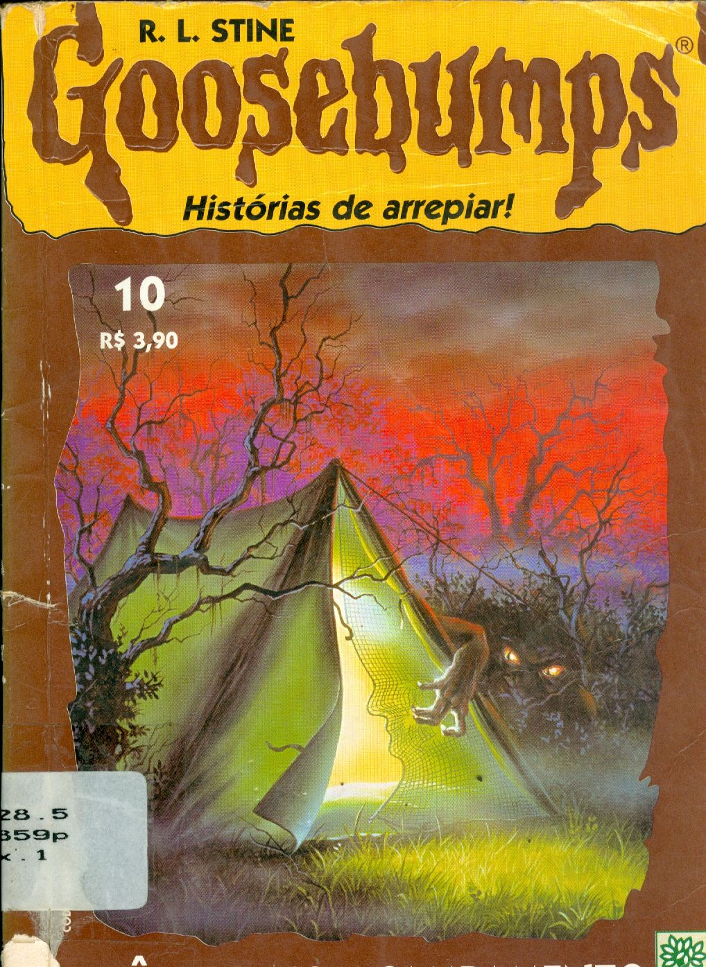 PÂNICO NO ACAMPAMENTO