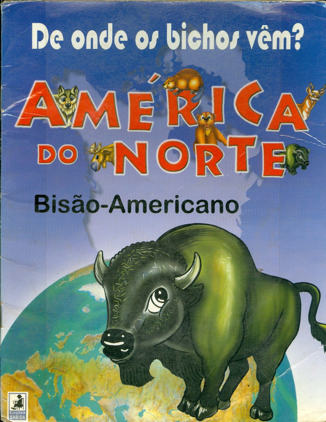 AMÉRICA DO NORTE: