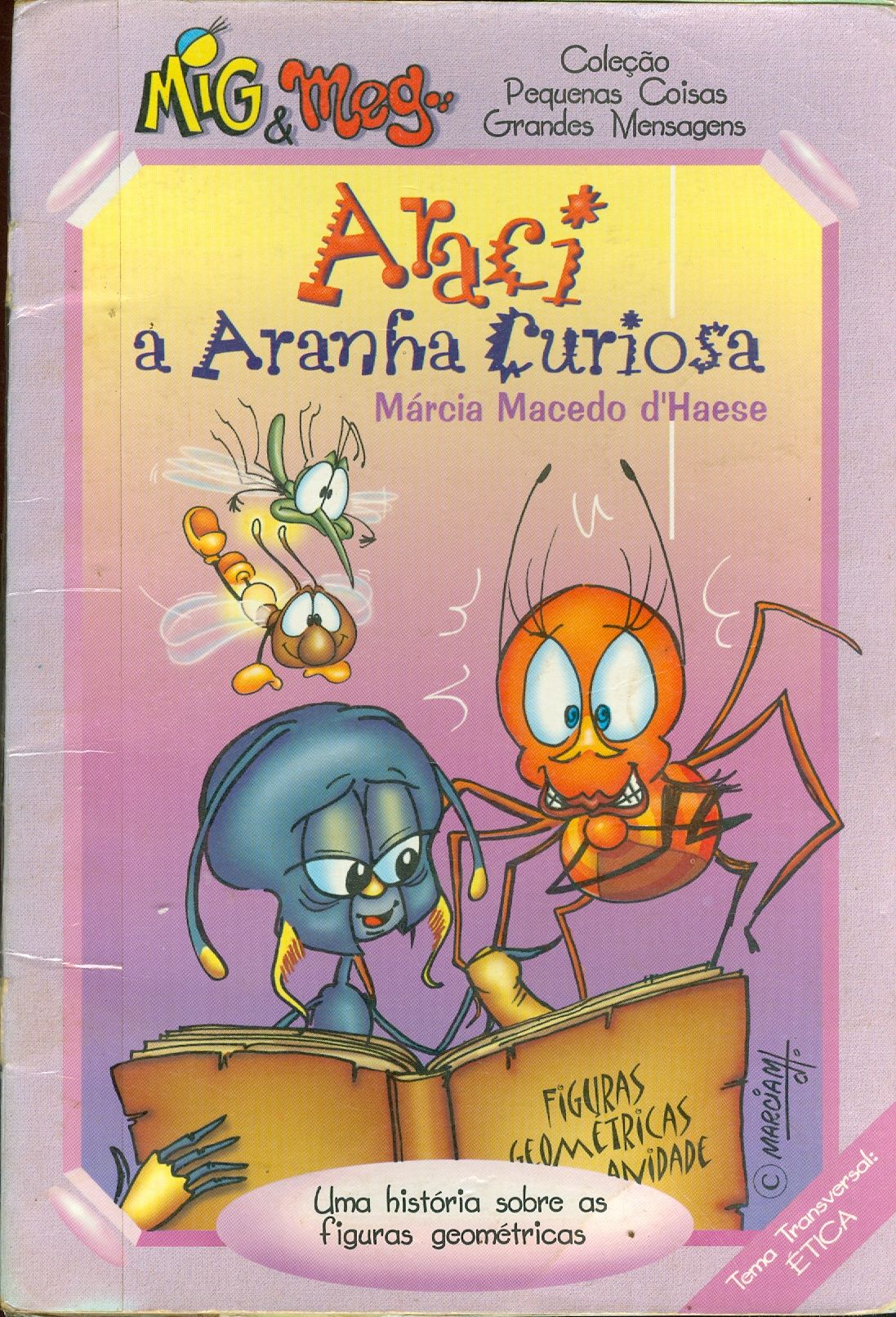 ARACI, A ARANHA CURIOSA