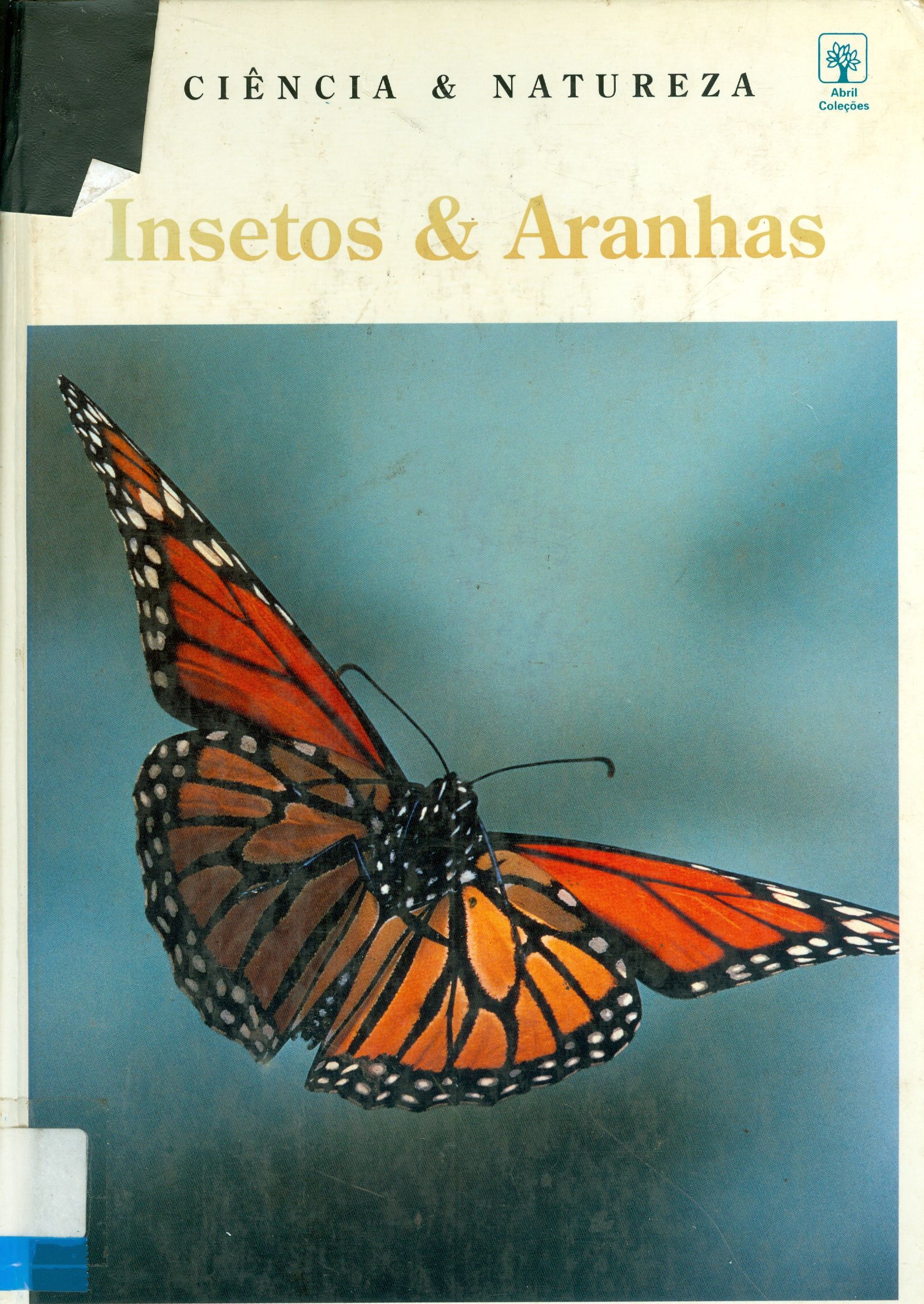INSETOS E ARANHAS