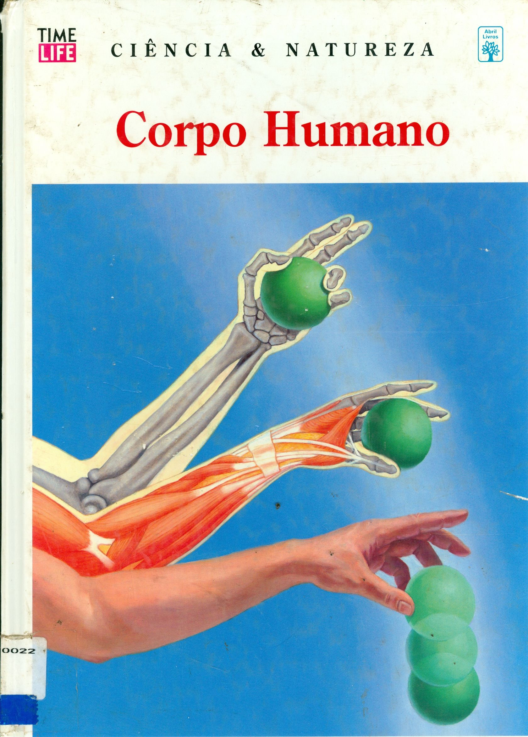 CORPO HUMANO