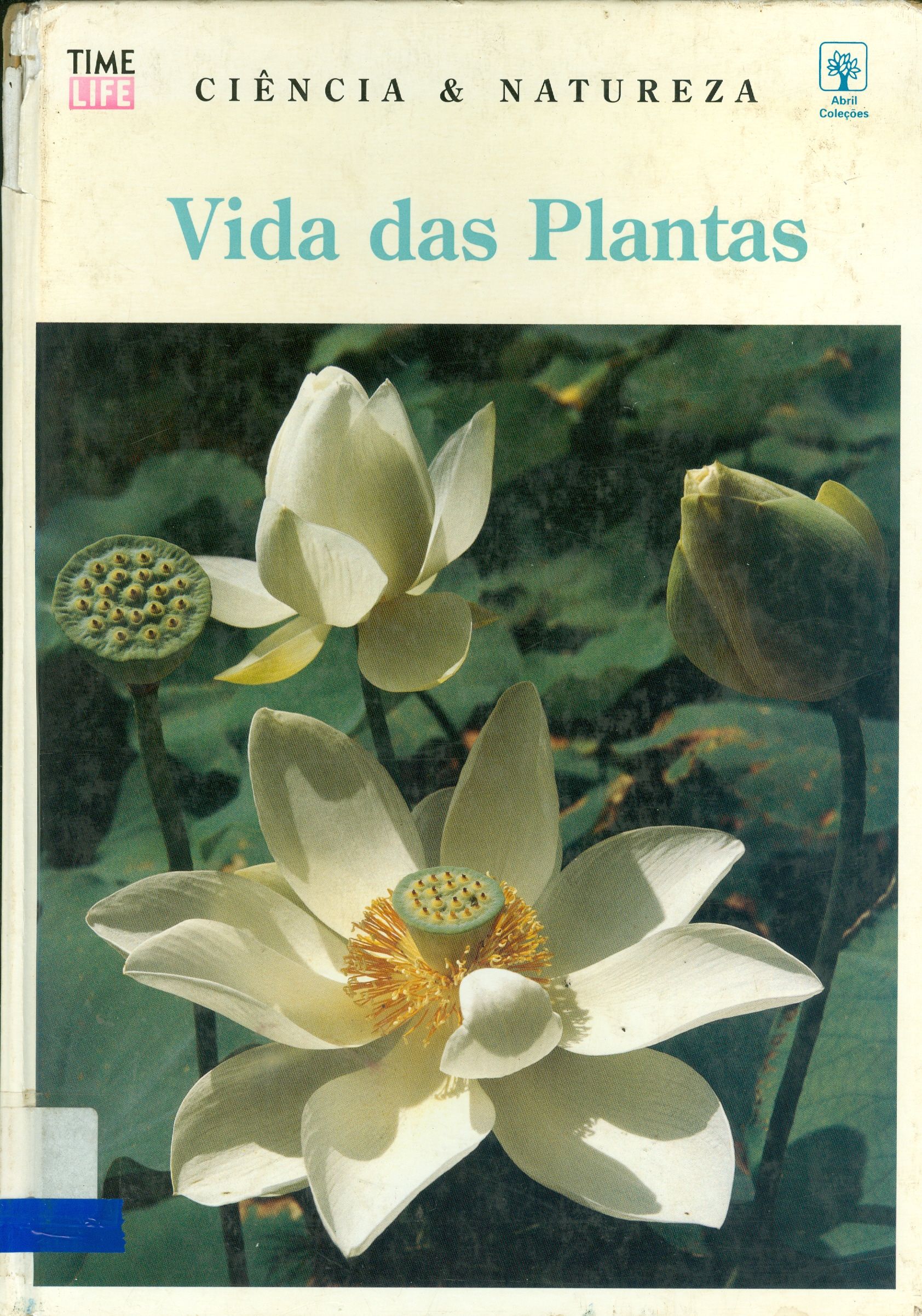 VIDA DAS PLANTAS