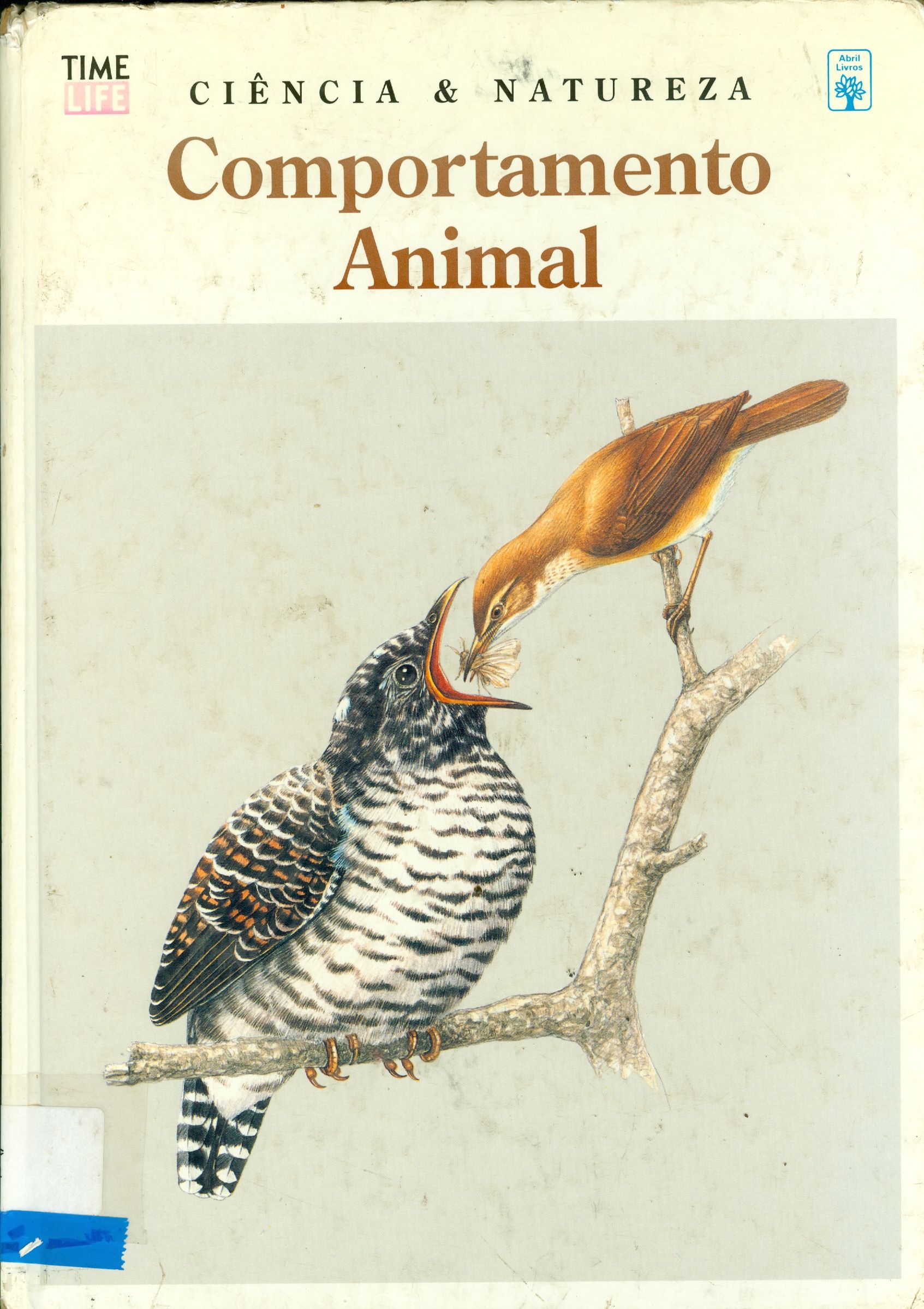 COMPORTAMENTO ANIMAL