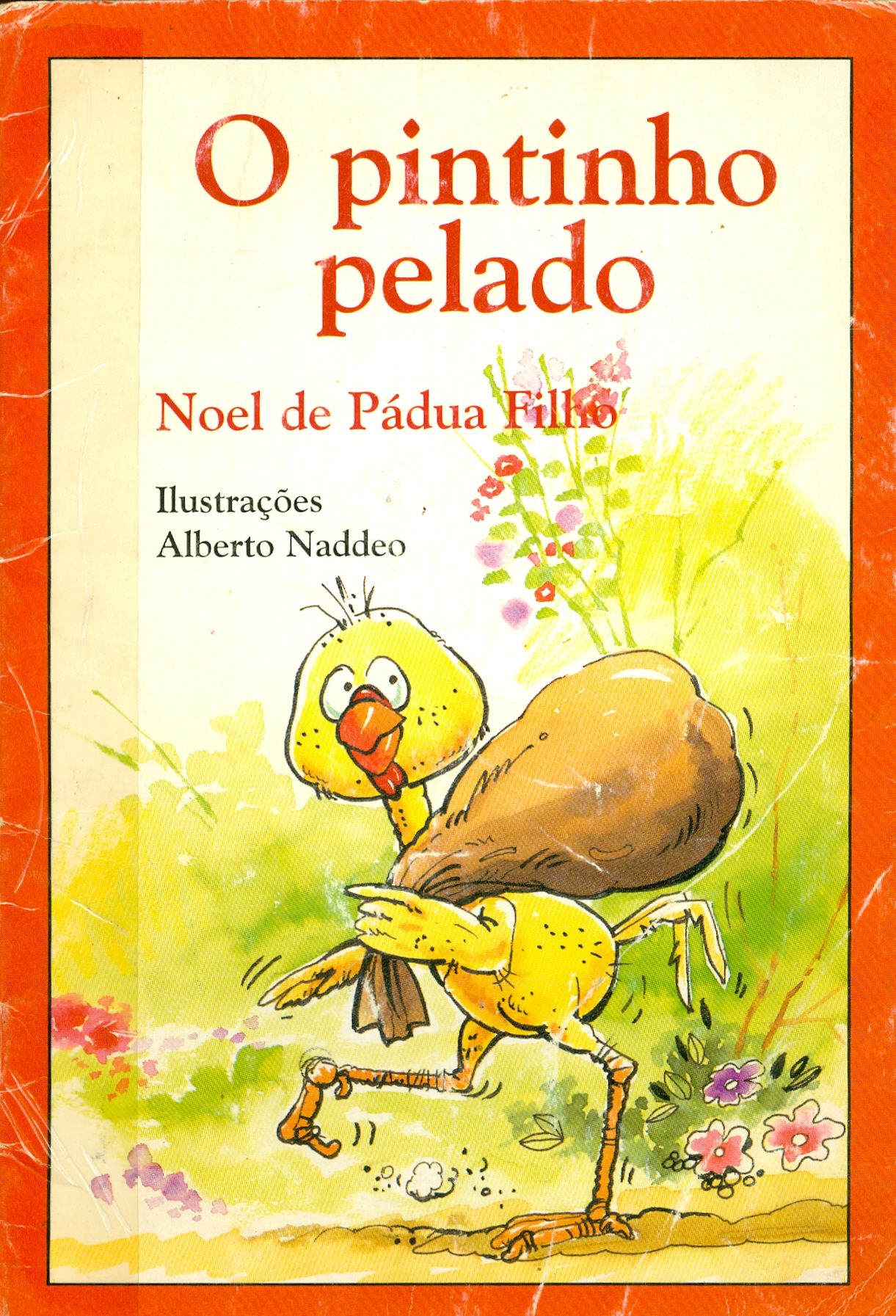 O PINTINHO PELADO