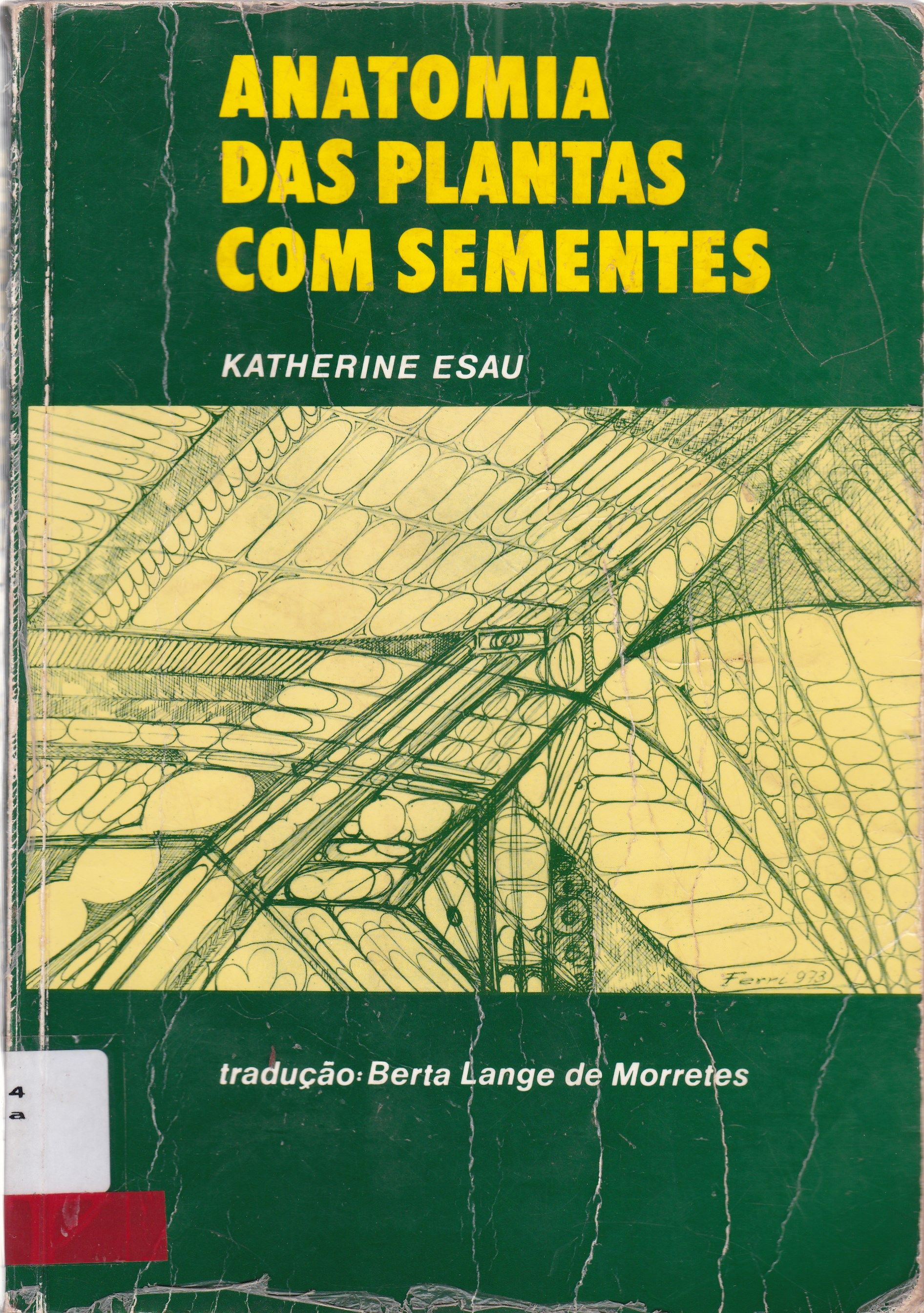 ANATOMIA DAS PLANTAS COM SEMENTES