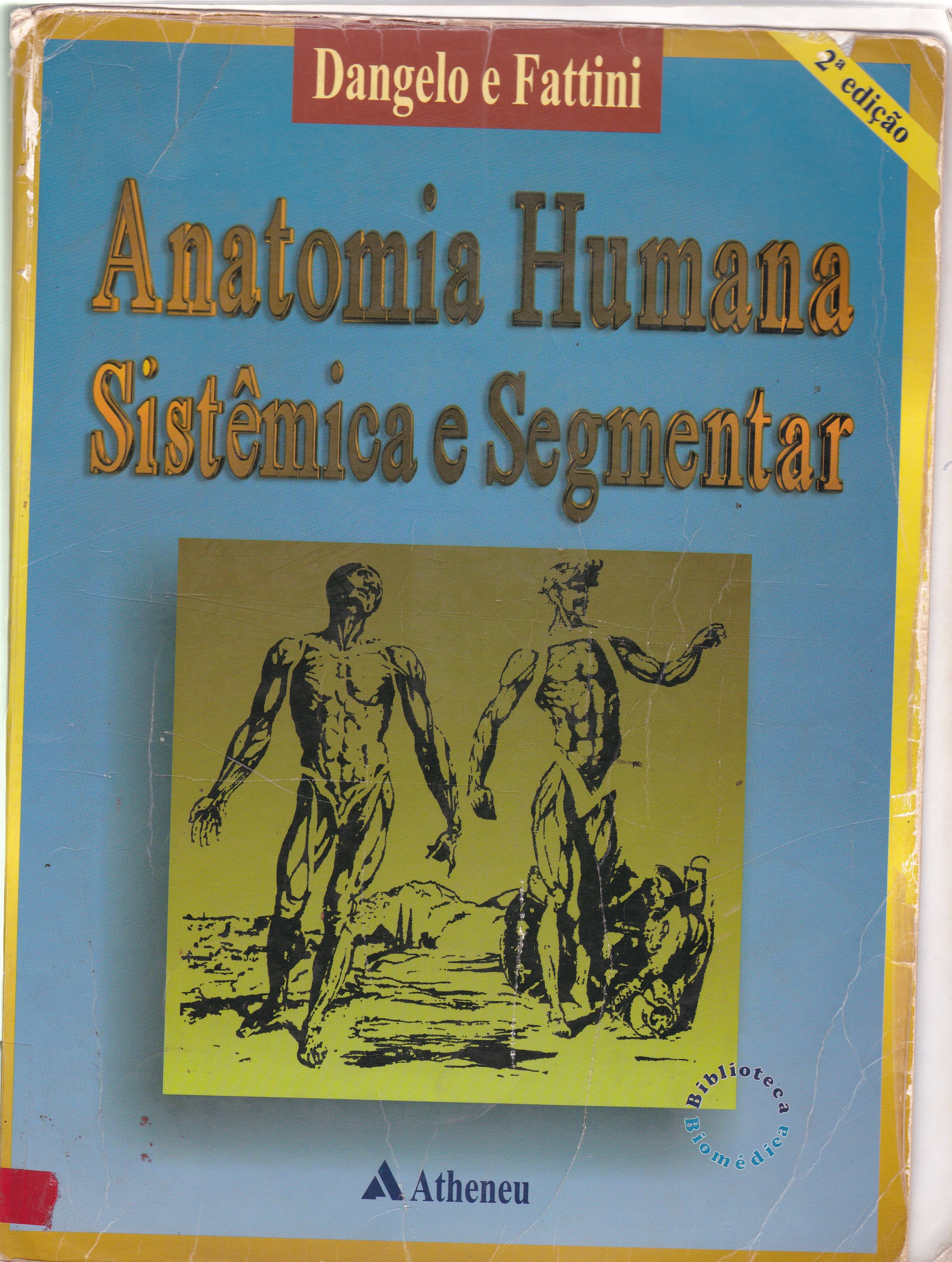ANATOMIA HUMANA SISTÊMICA E SEGMENTAR: PARA O ESTUDANTE DE MEDICINA 
