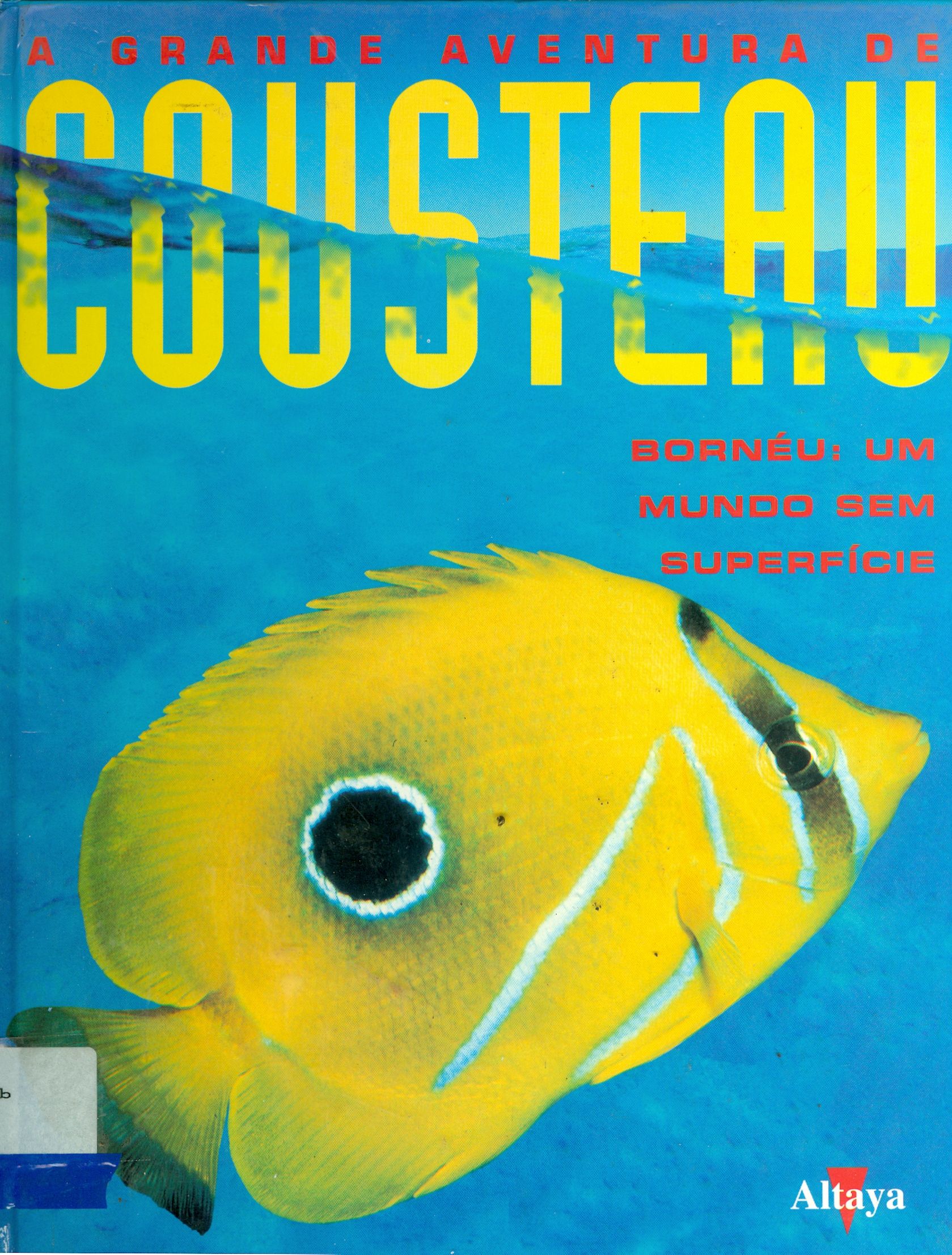 BORNEU: UM MUNDO SEM SUPERFÍCIE - V. 11