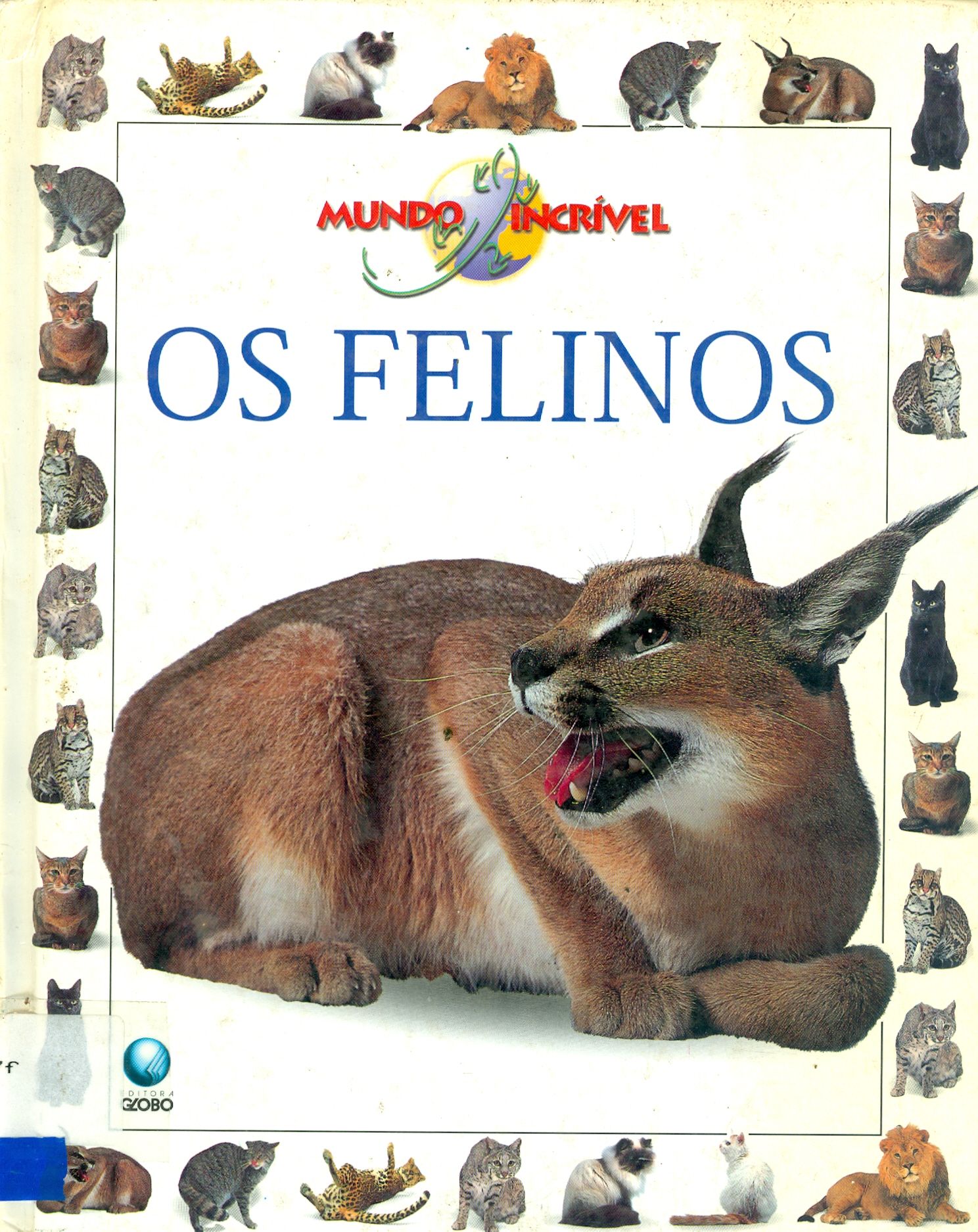 OS FELINOS