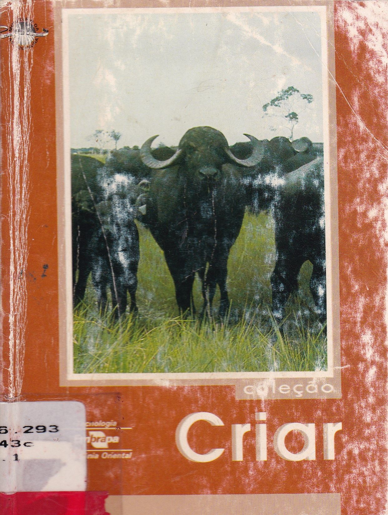 CRIAÇÃO DE BÚFALOS