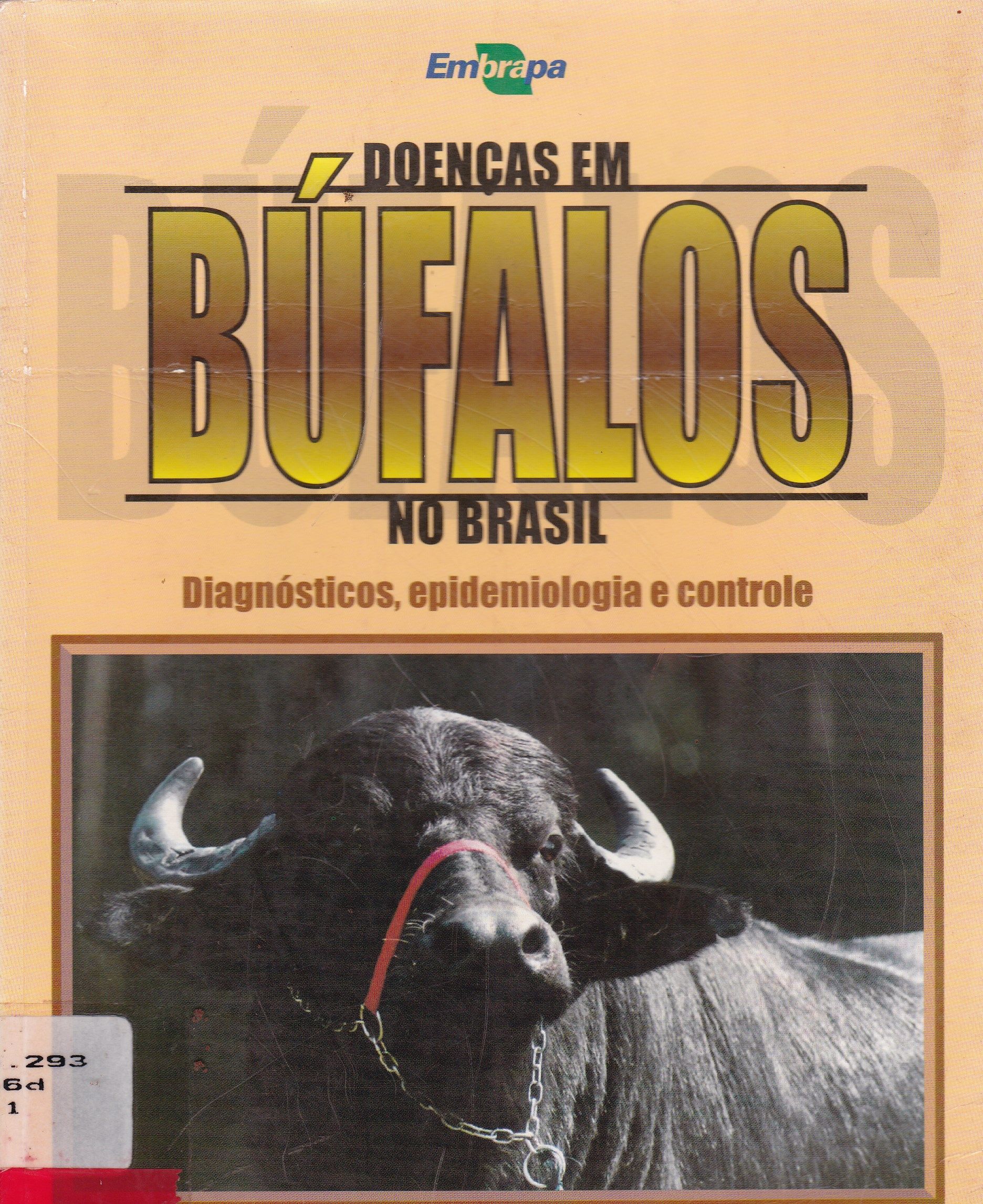 DOENÇAS EM BÚFALOS NO BRASIL: DIAGNÓSTICO, EPIDEMIOLOGIA E CONTROLE