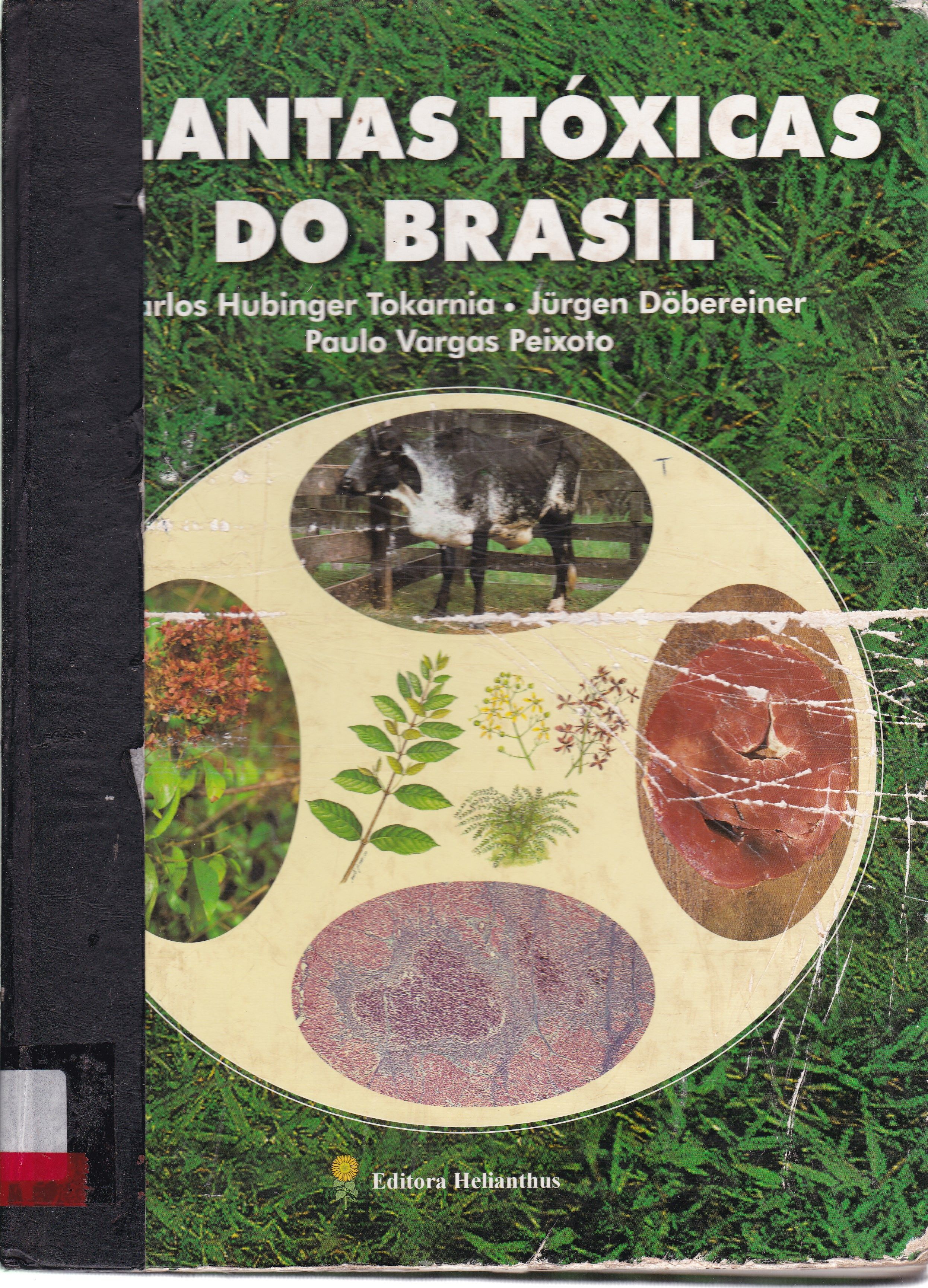 PLANTAS TÓXICAS DO BRASIL