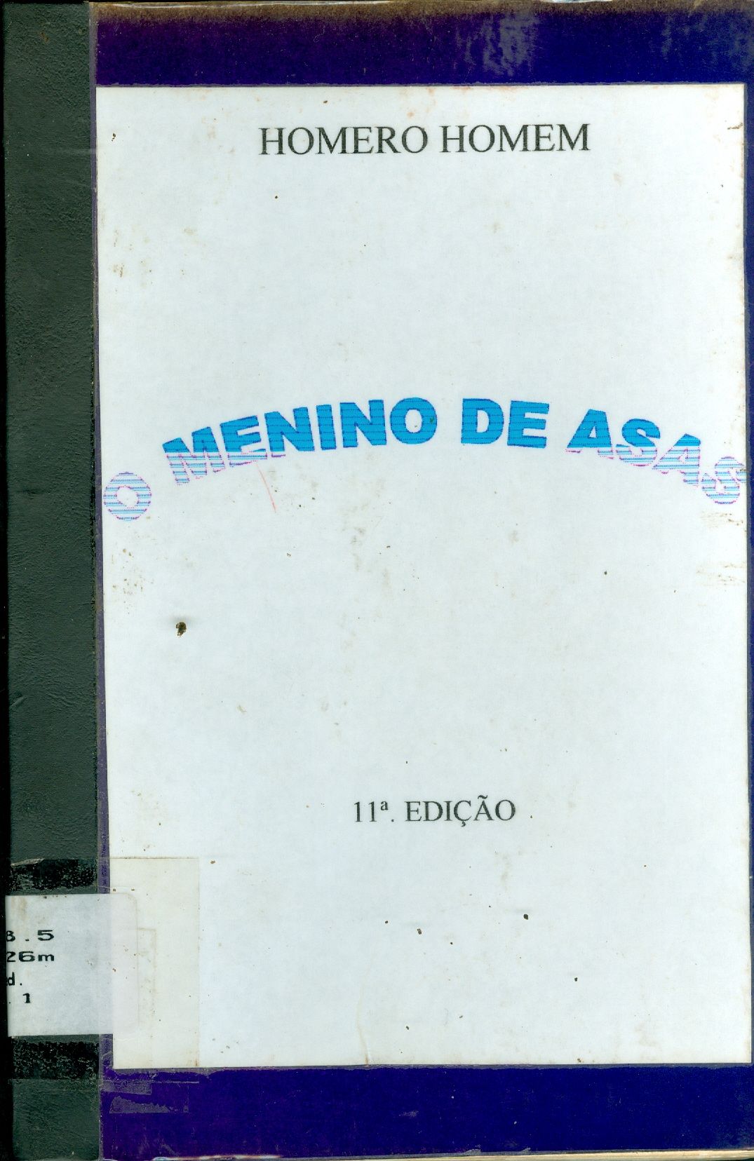 MENINO DE ASAS 